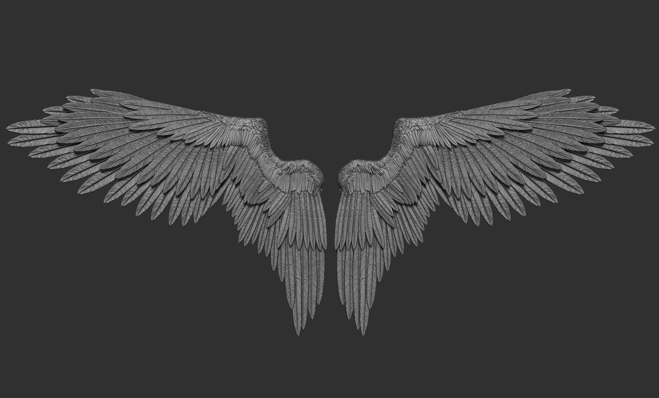 10 Wings 3D model_24