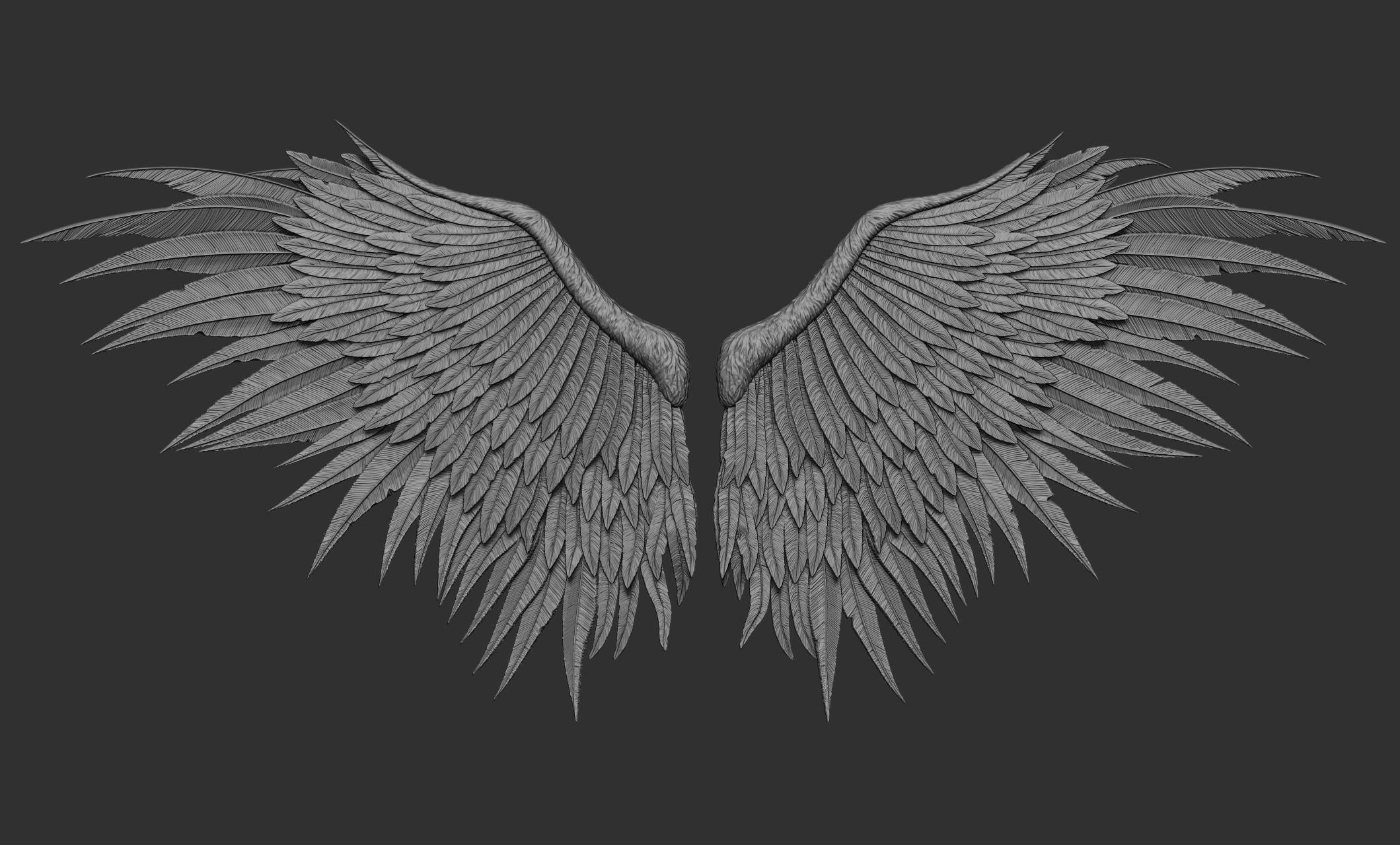10 Wings 3D model_53