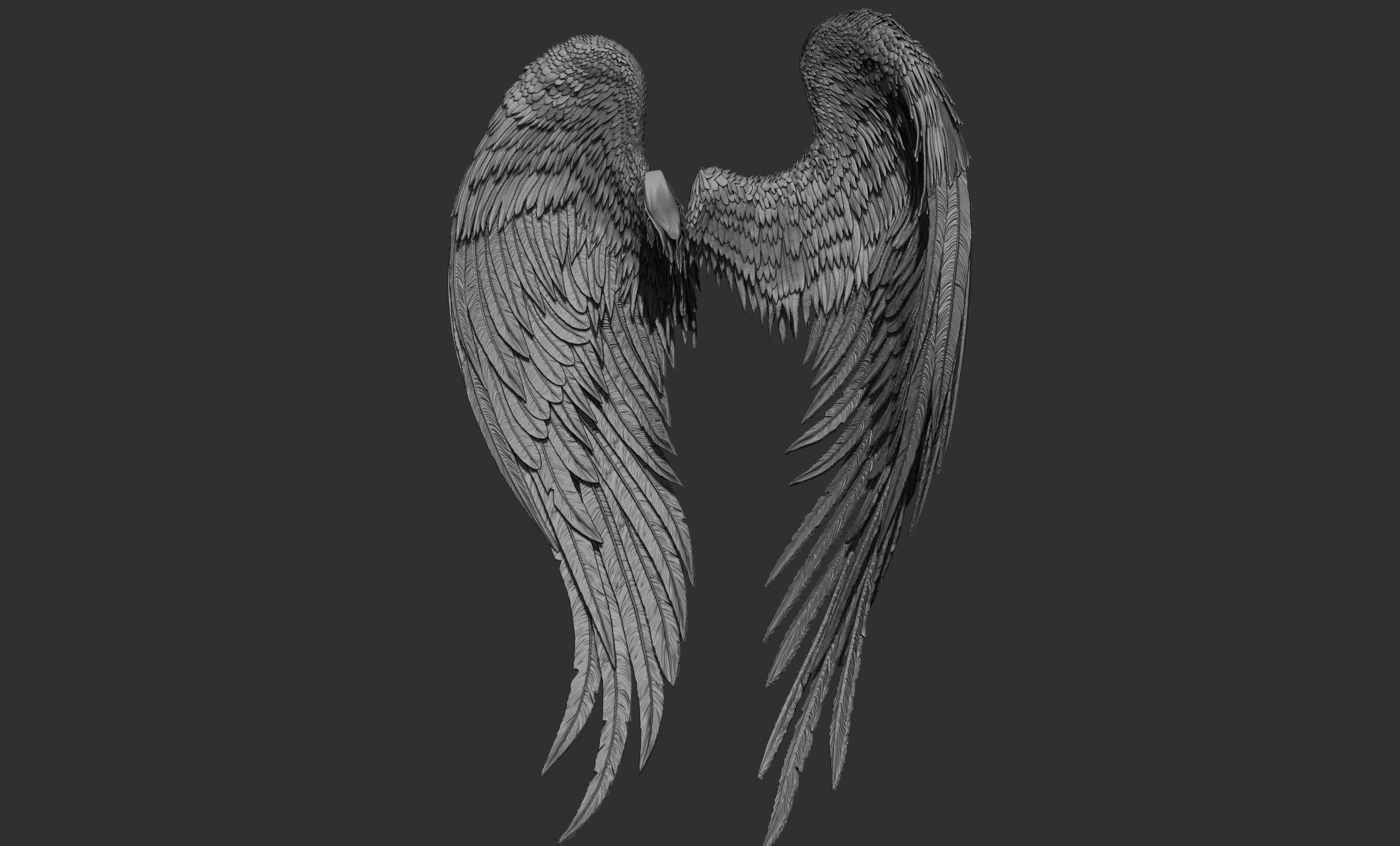 10 Wings 3D model_35