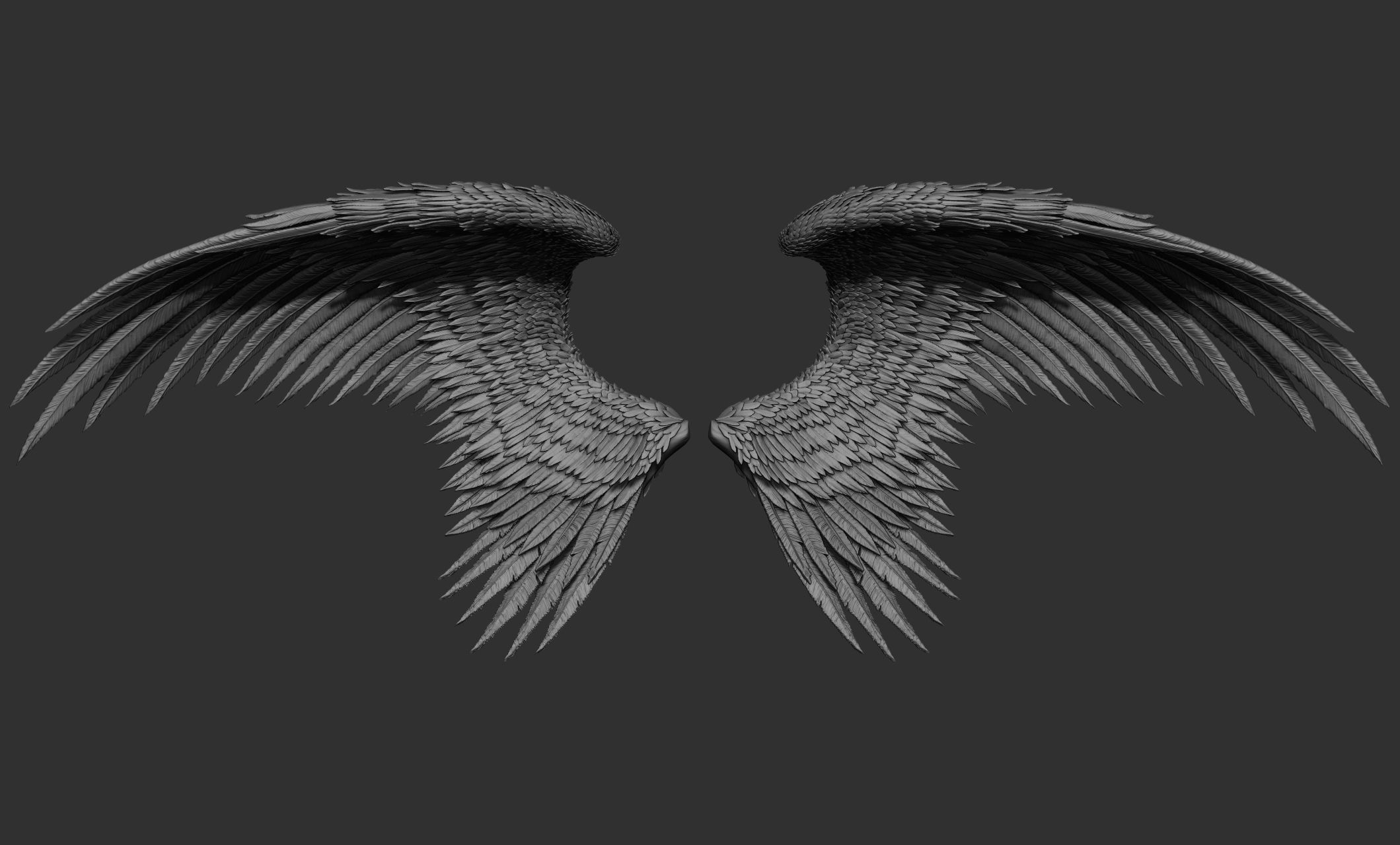 10 Wings 3D model_15