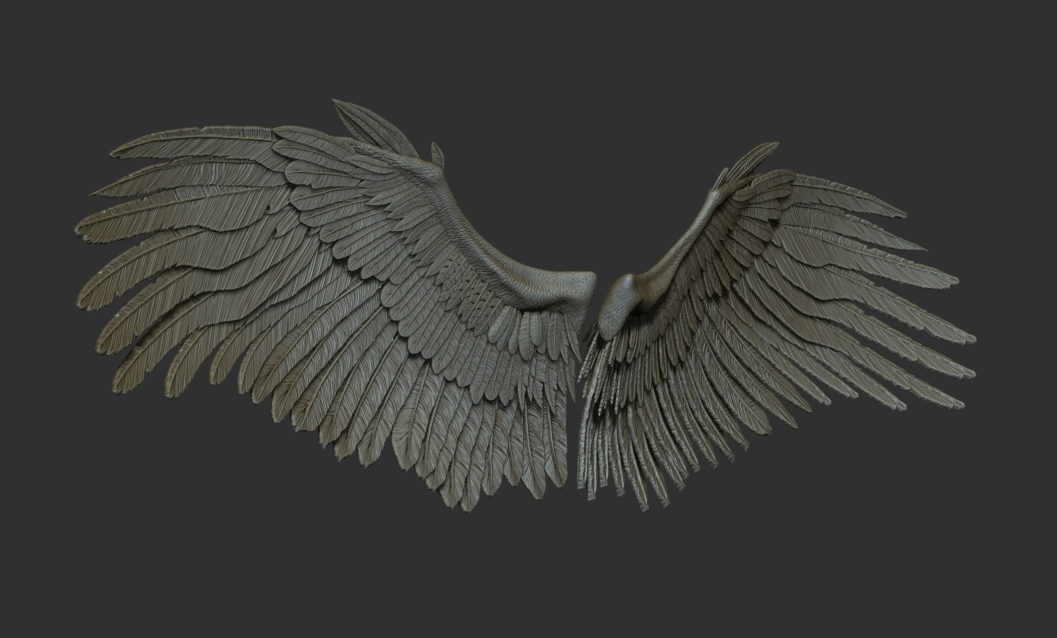 10 Wings 3D model_14