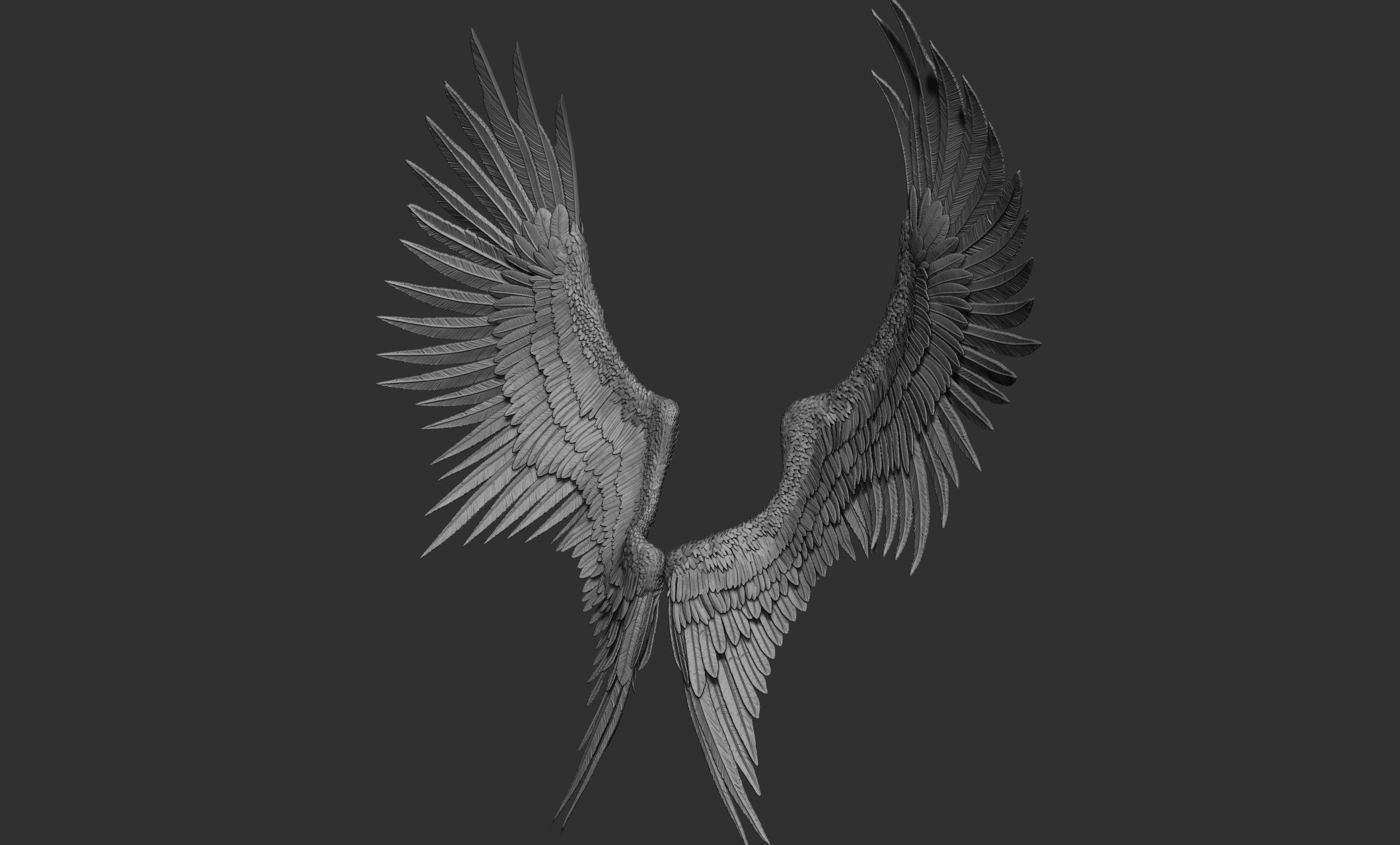 10 Wings 3D model_27