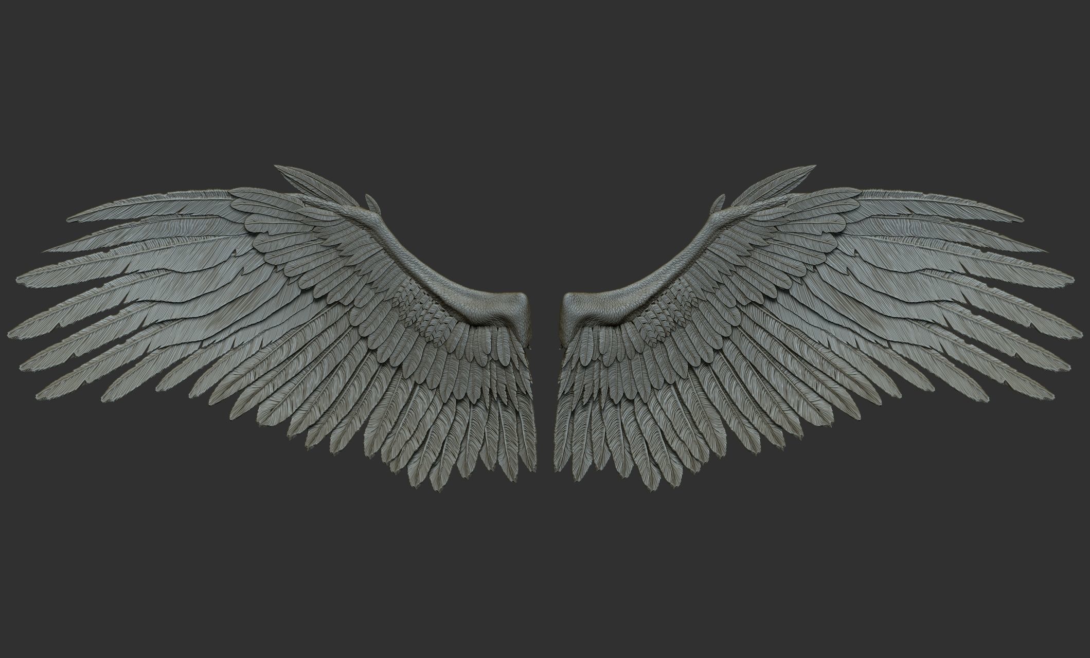 10 Wings 3D model_8