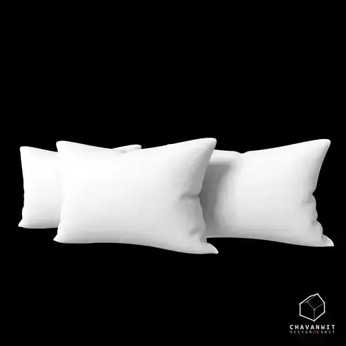 Pillow CVW 002