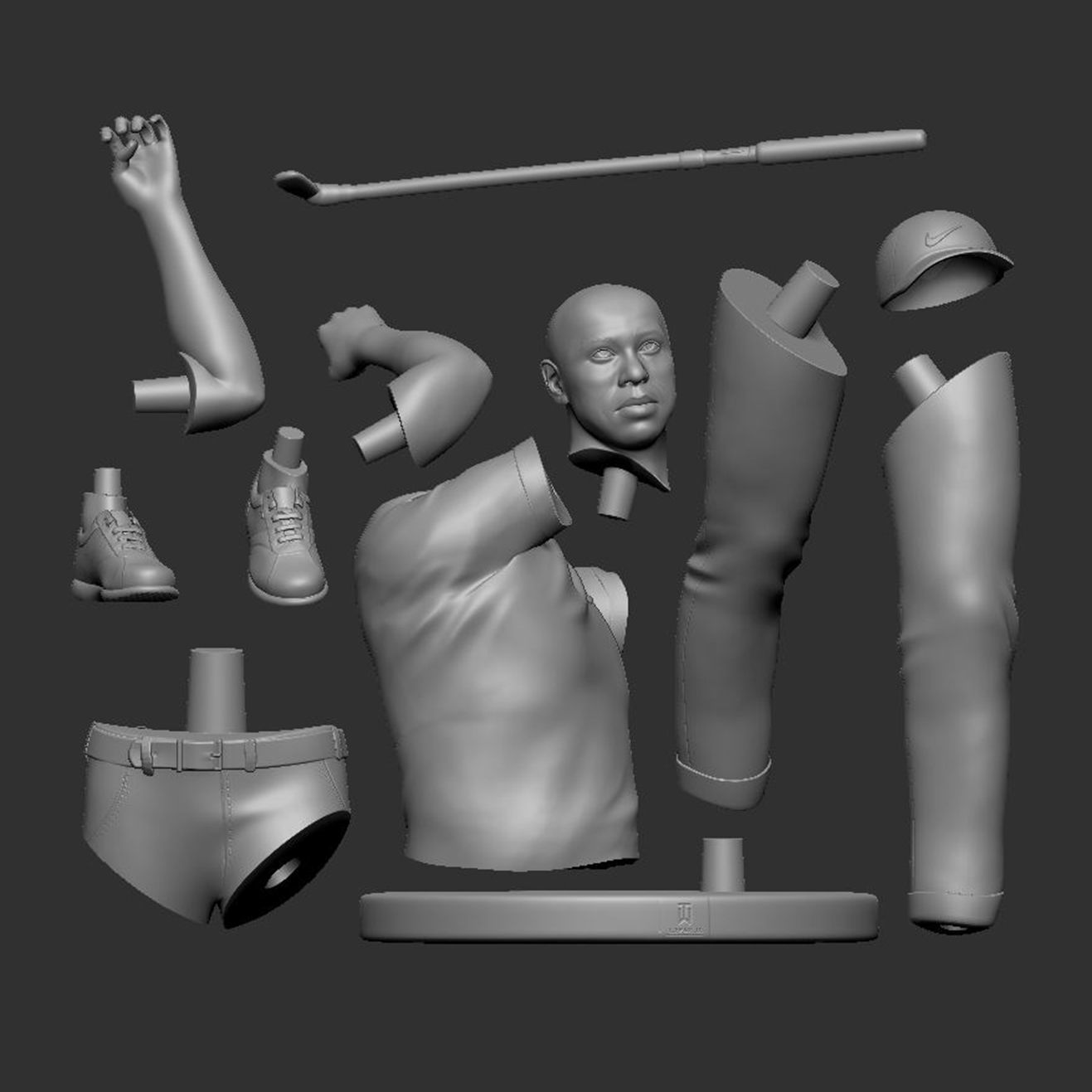 Tiger Wood 3D Printable 1 3D print model_2