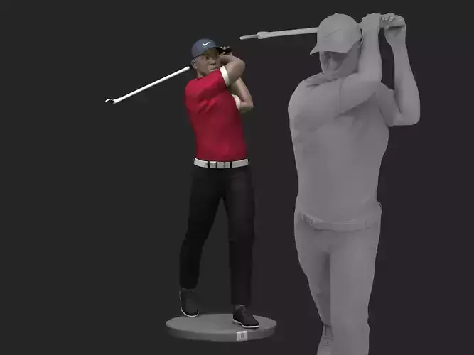 Tiger Wood 3D Printable 1 3D print model