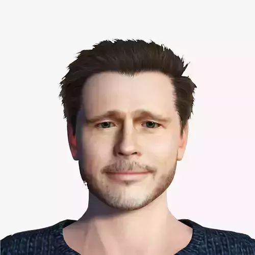 Man 3D Rigged model Brad Pitt ready for animation 3D model