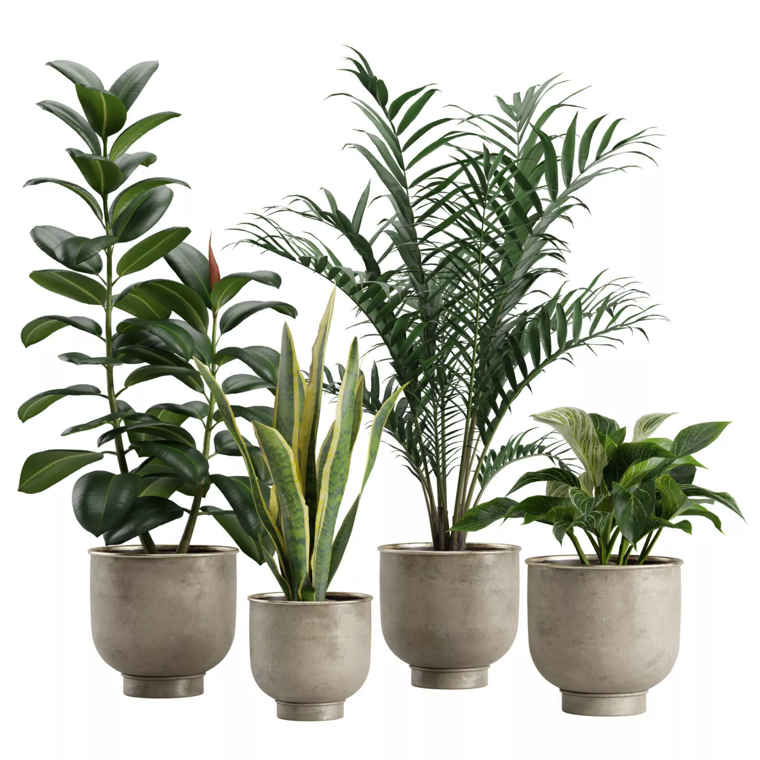 Indoor Plants Pack 20 3D model