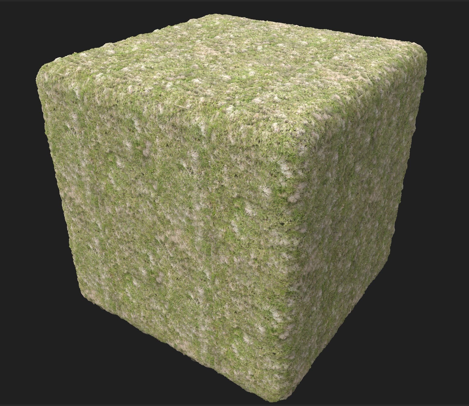 4K Grass with ground Texture_4