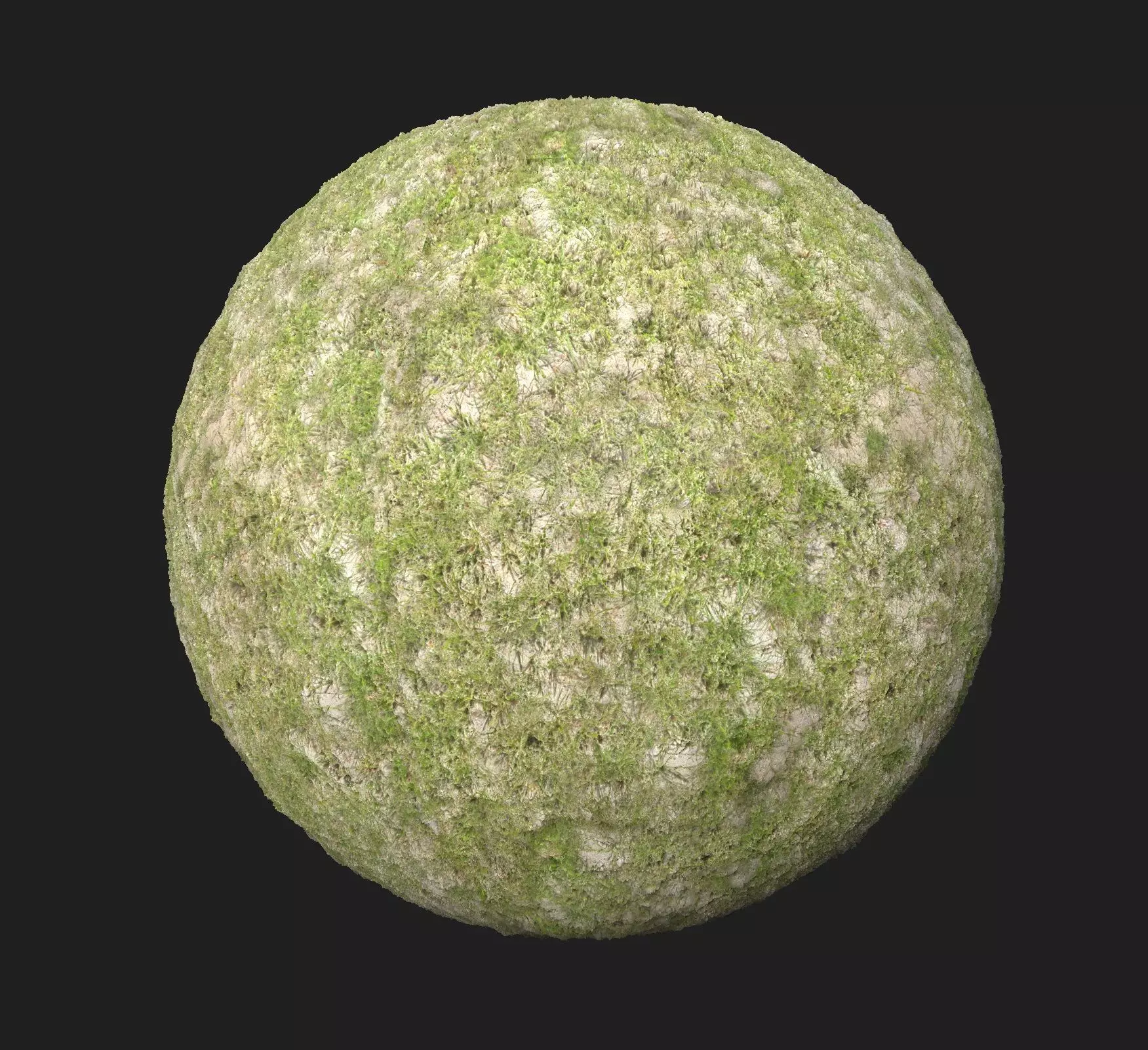4K Grass with ground Texture_0