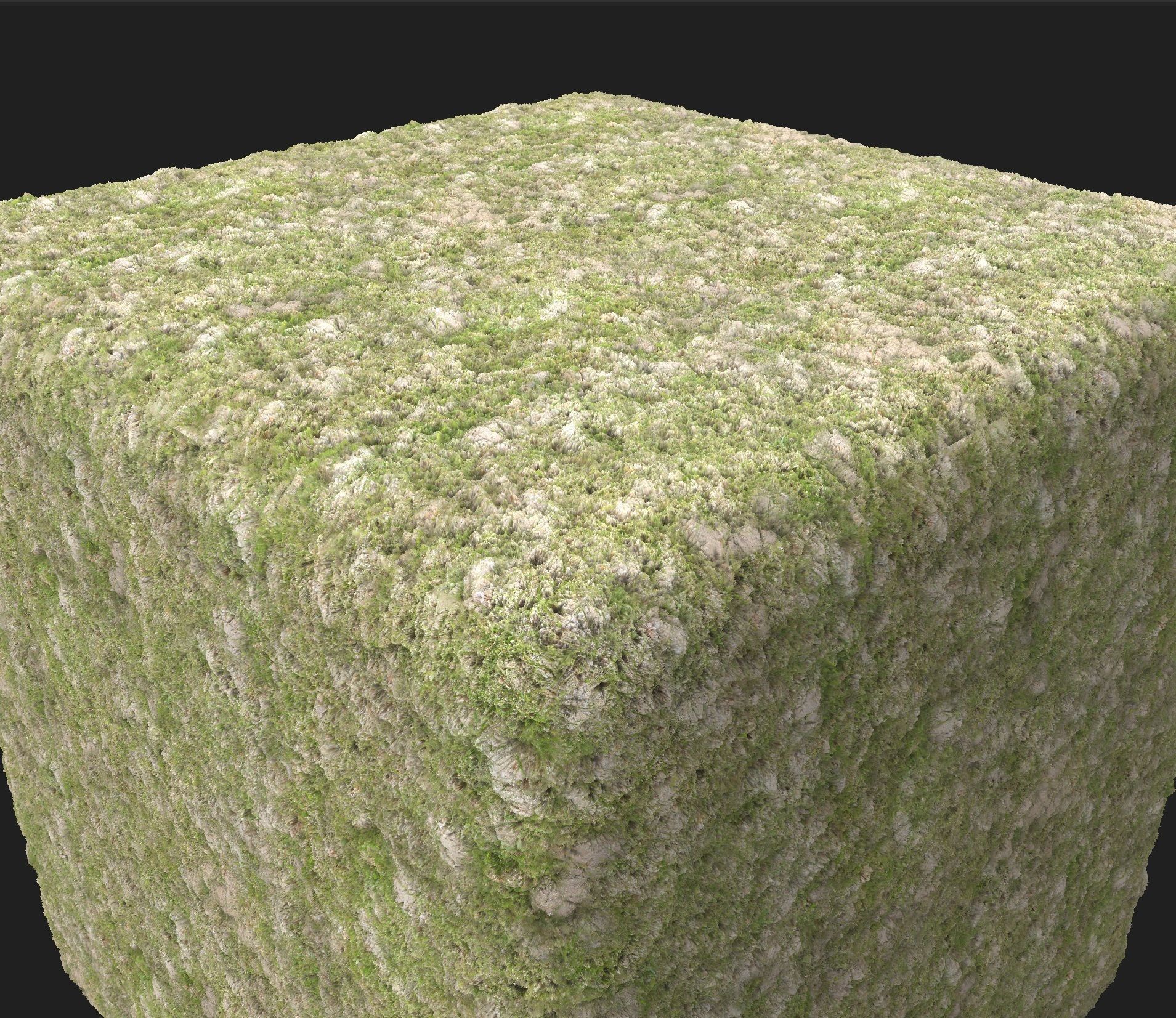 4K Grass with ground Texture_5