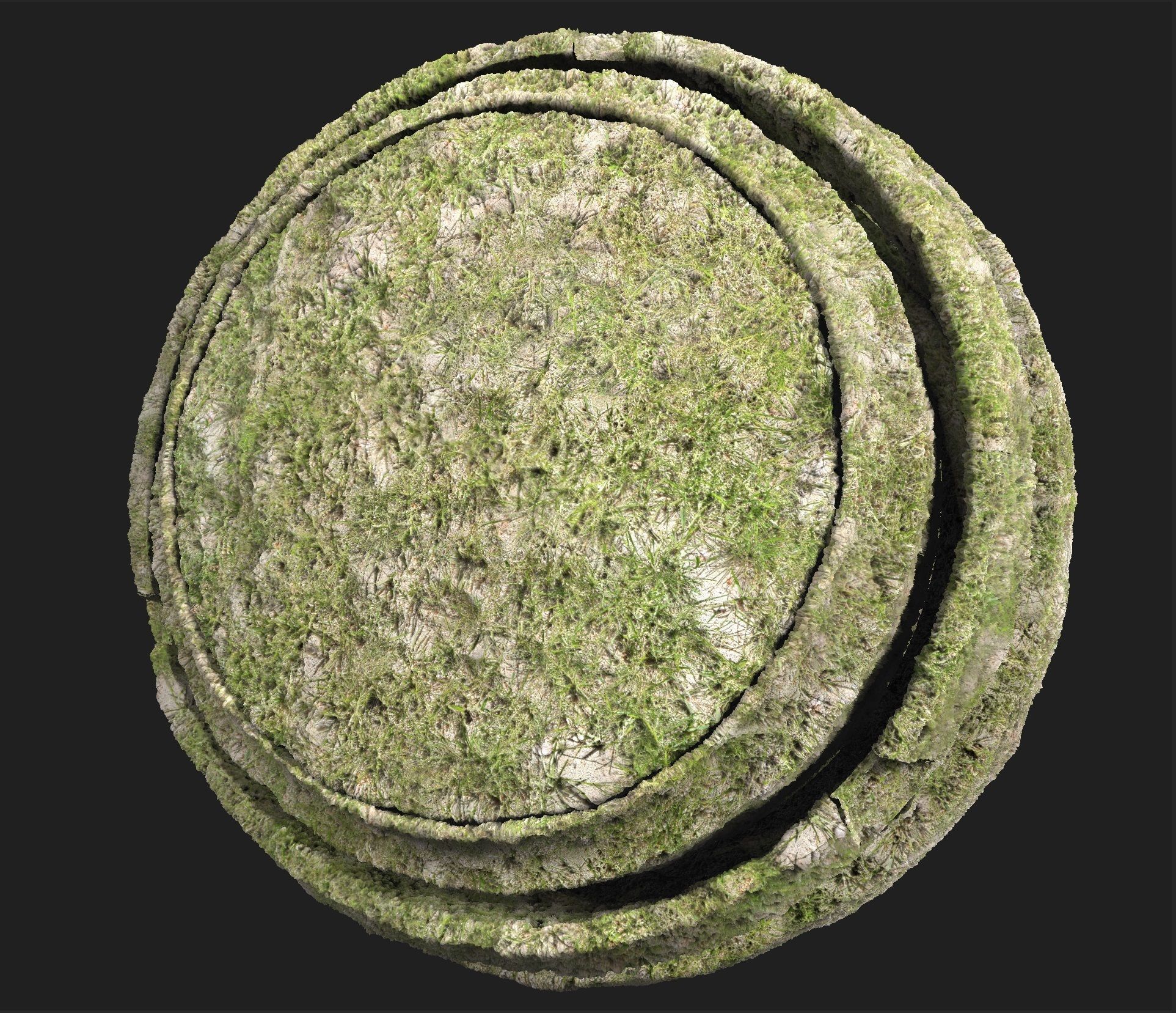 4K Grass with ground Texture_1