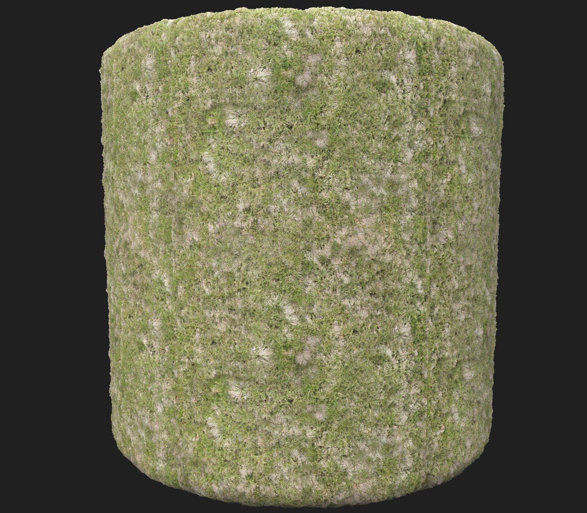 4K Grass with ground Texture_8