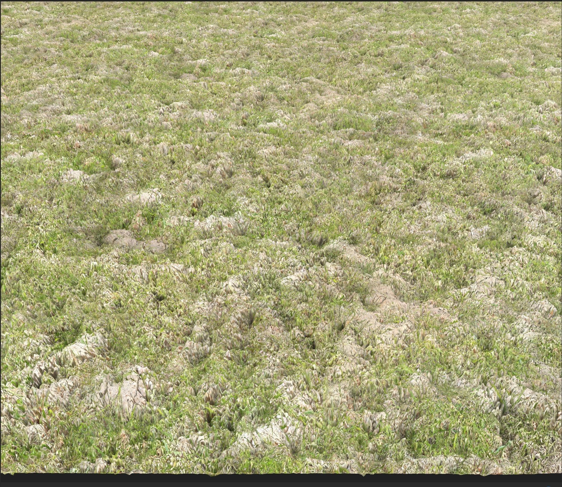 4K Grass with ground Texture_2