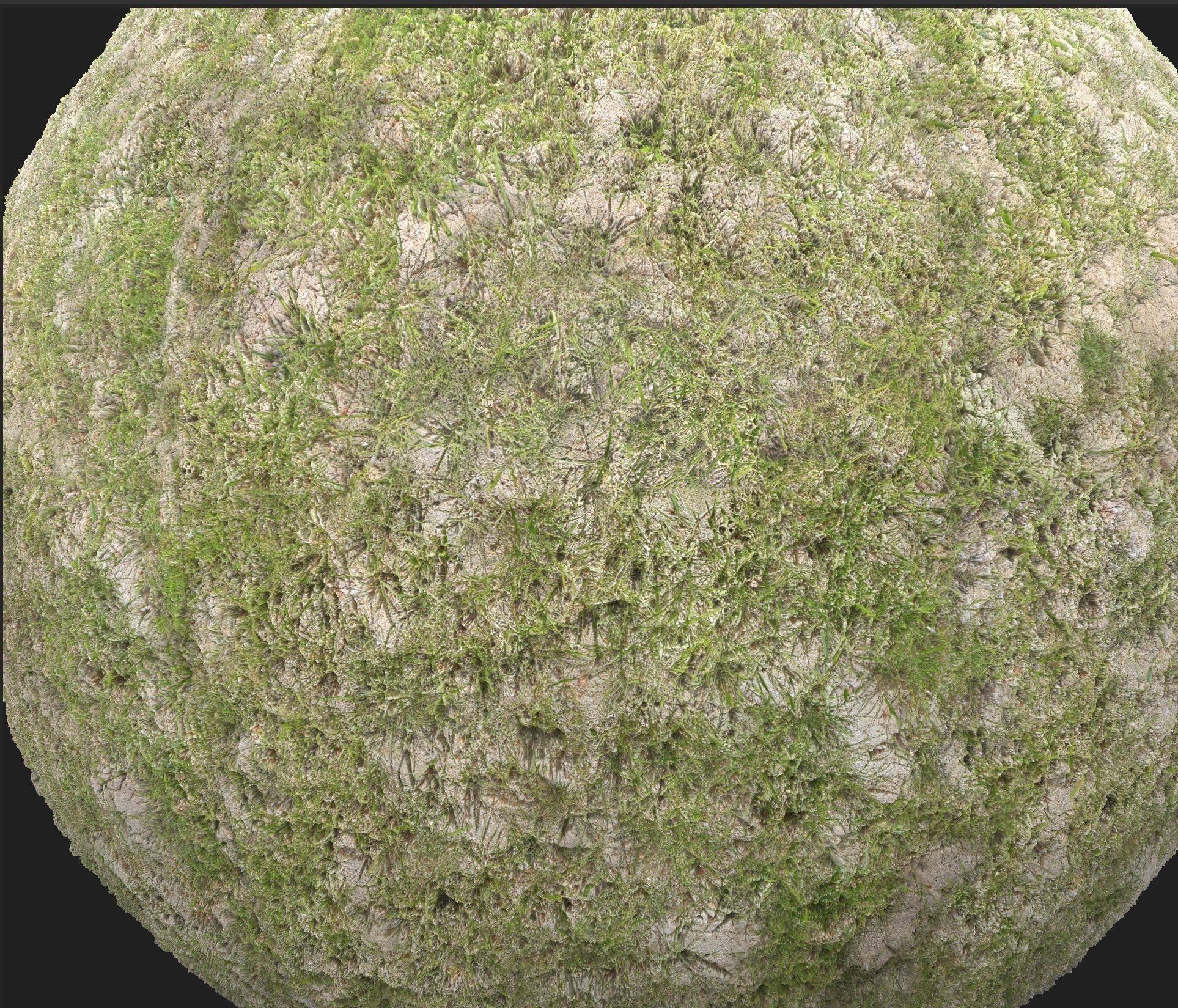 4K Grass with ground Texture_3