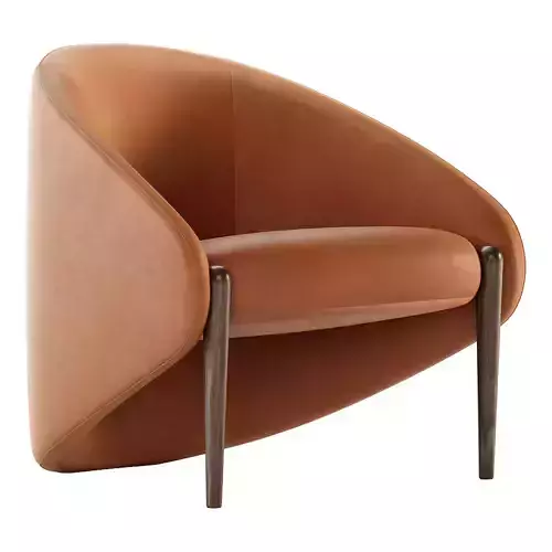 Walrus armchair by Roche Bobois
