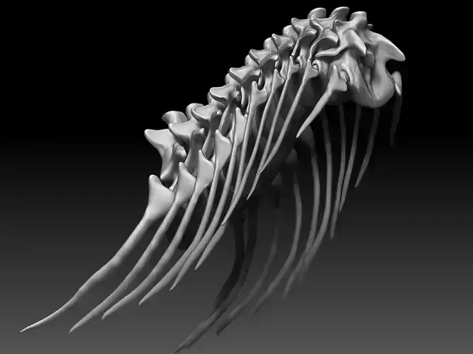 Dinosaur Tarbosaurus Bataar Neck Set Skeletons