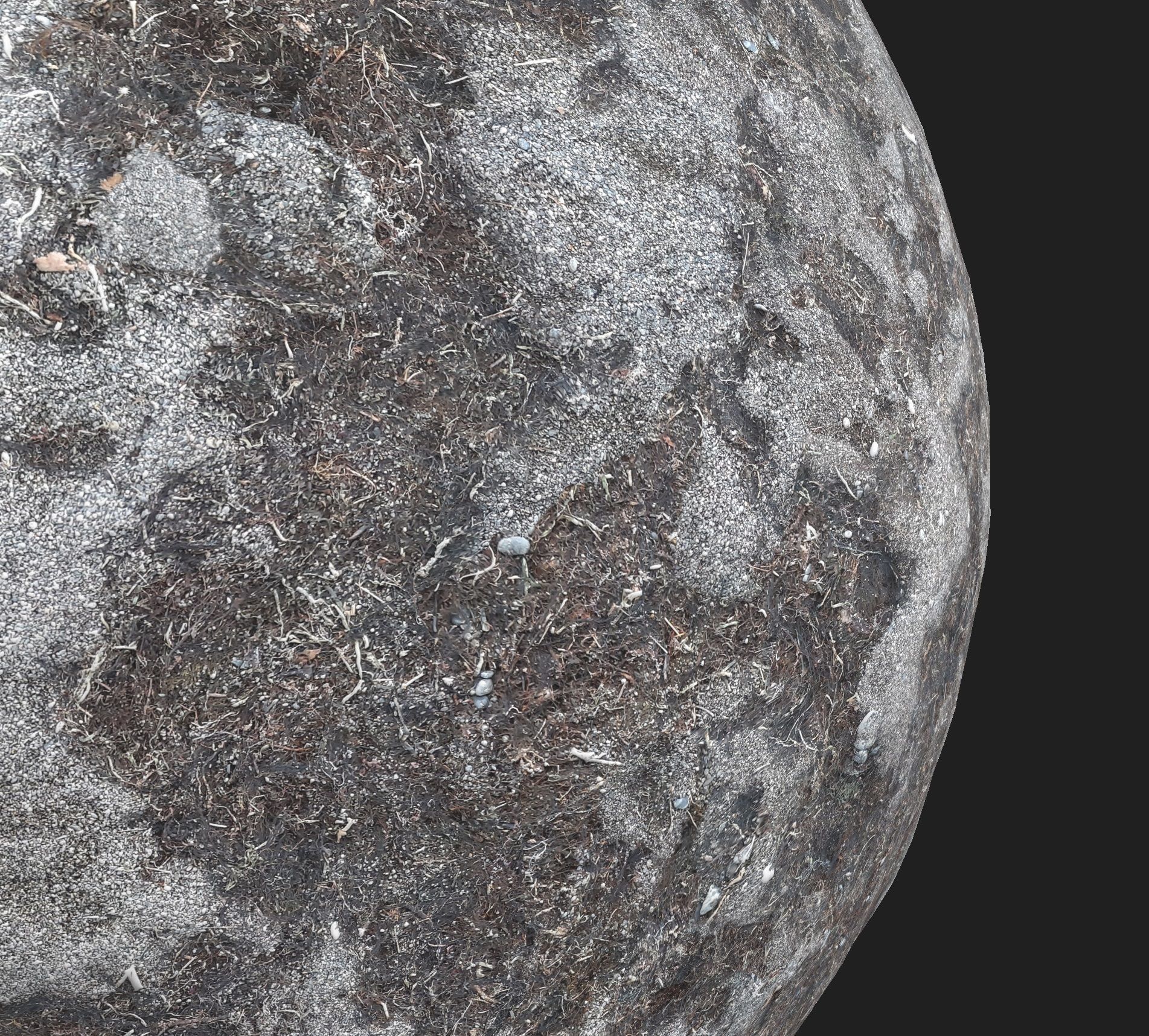 PBR 4K photorealistic Volcanic sand with seaweed Texture_1