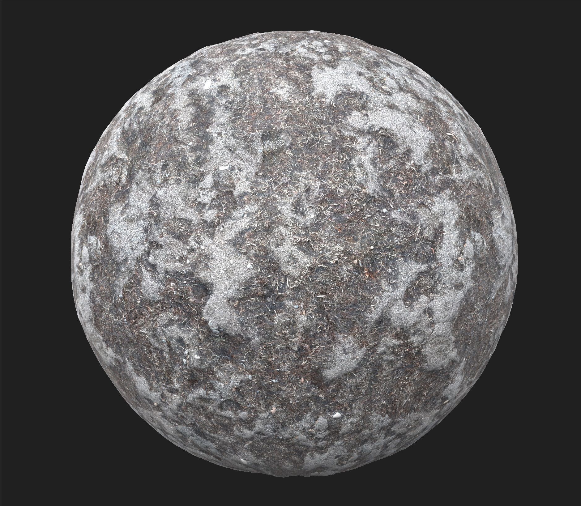 PBR 4K photorealistic Volcanic sand with seaweed Texture_6