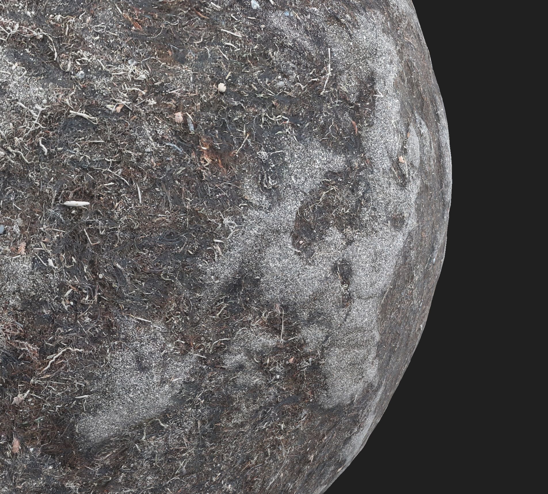 PBR 4K photorealistic Volcanic sand with seaweed Texture_2