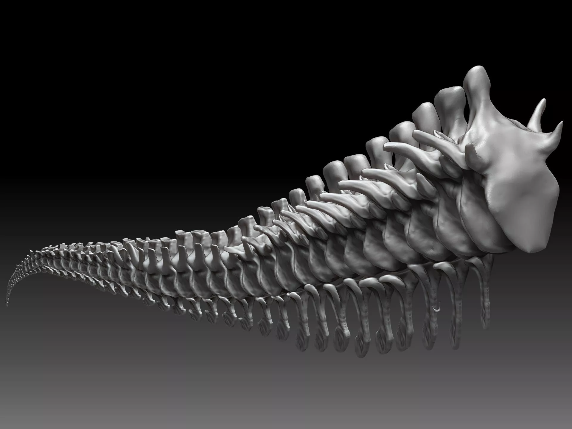 Dinosaur Tarbosaurus Bataar Tail Set 3D model