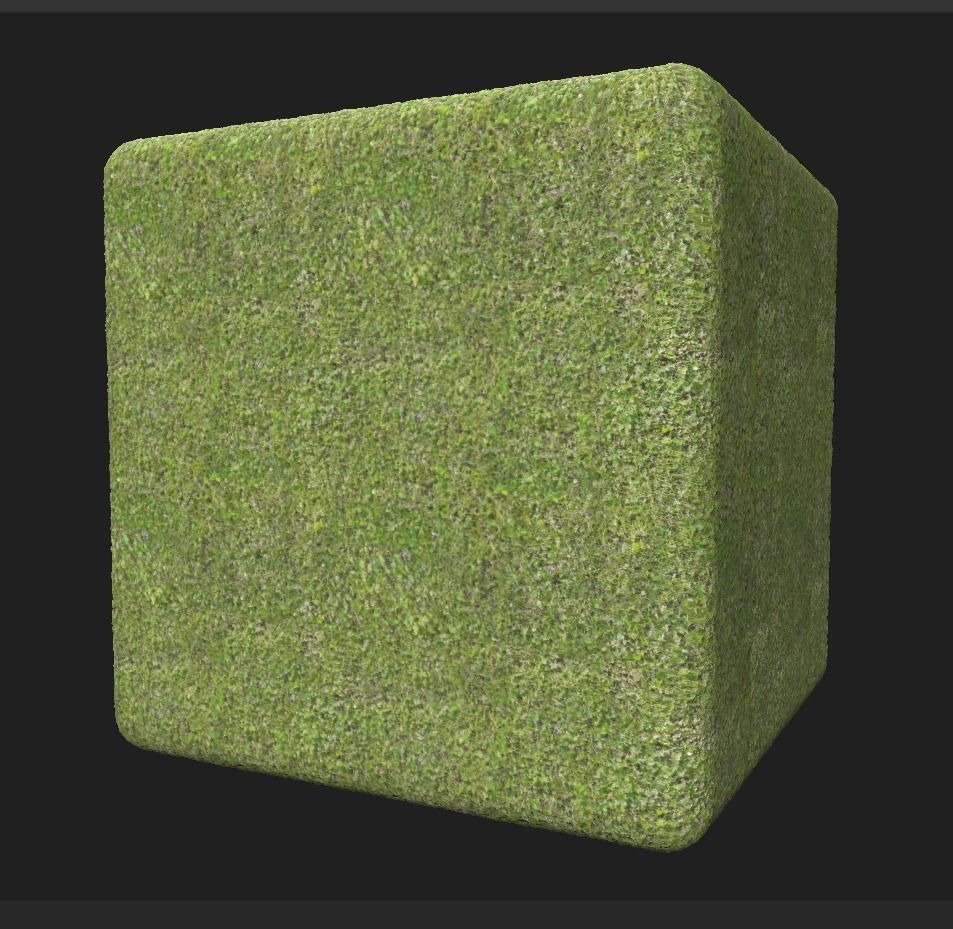 4K PBR Grass Green Texture_6