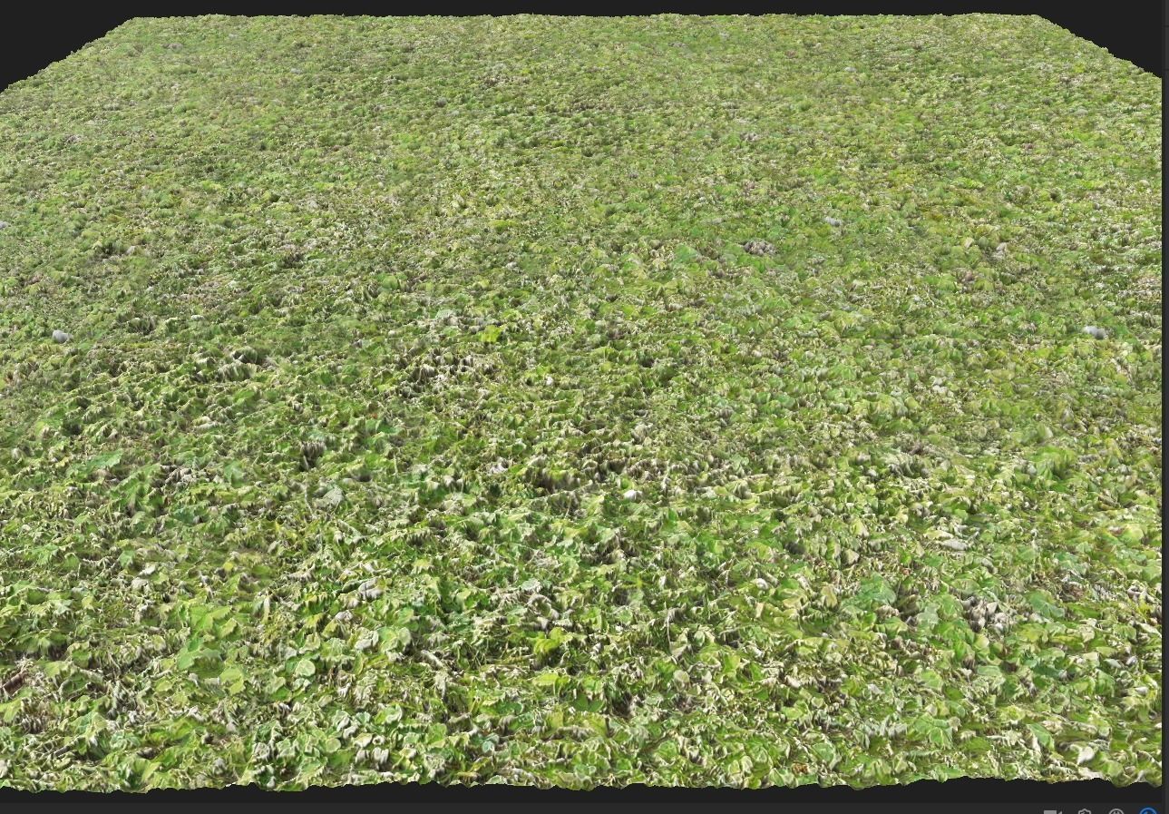4K PBR Grass Green Texture_7