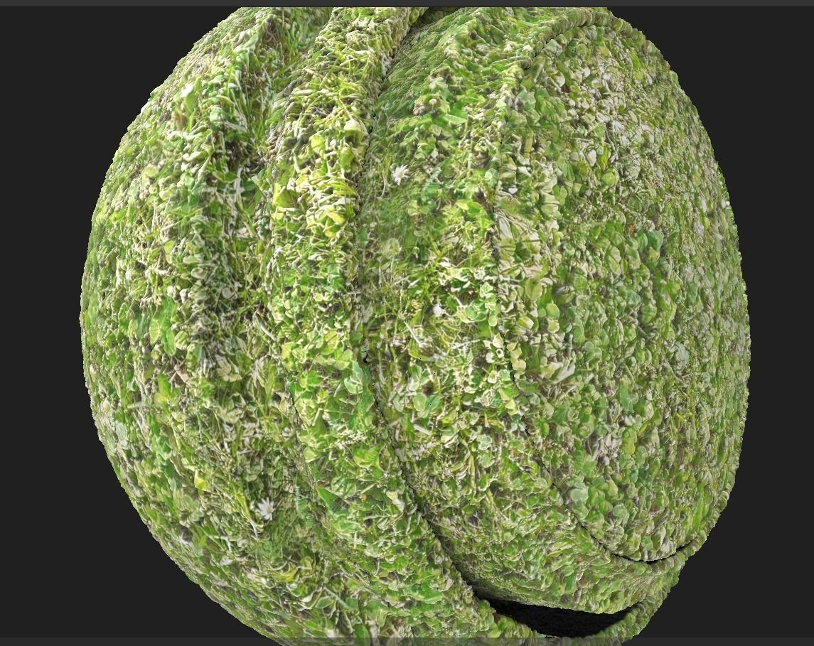 4K PBR Grass Green Texture_3