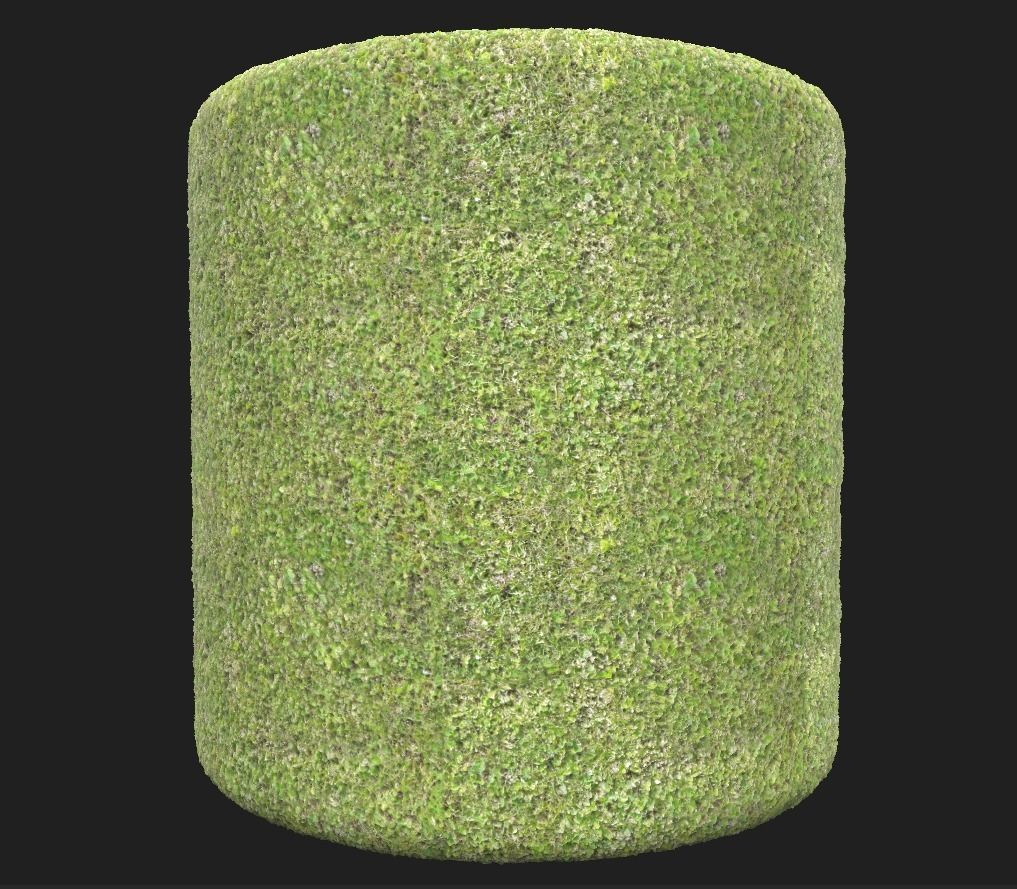 4K PBR Grass Green Texture_4