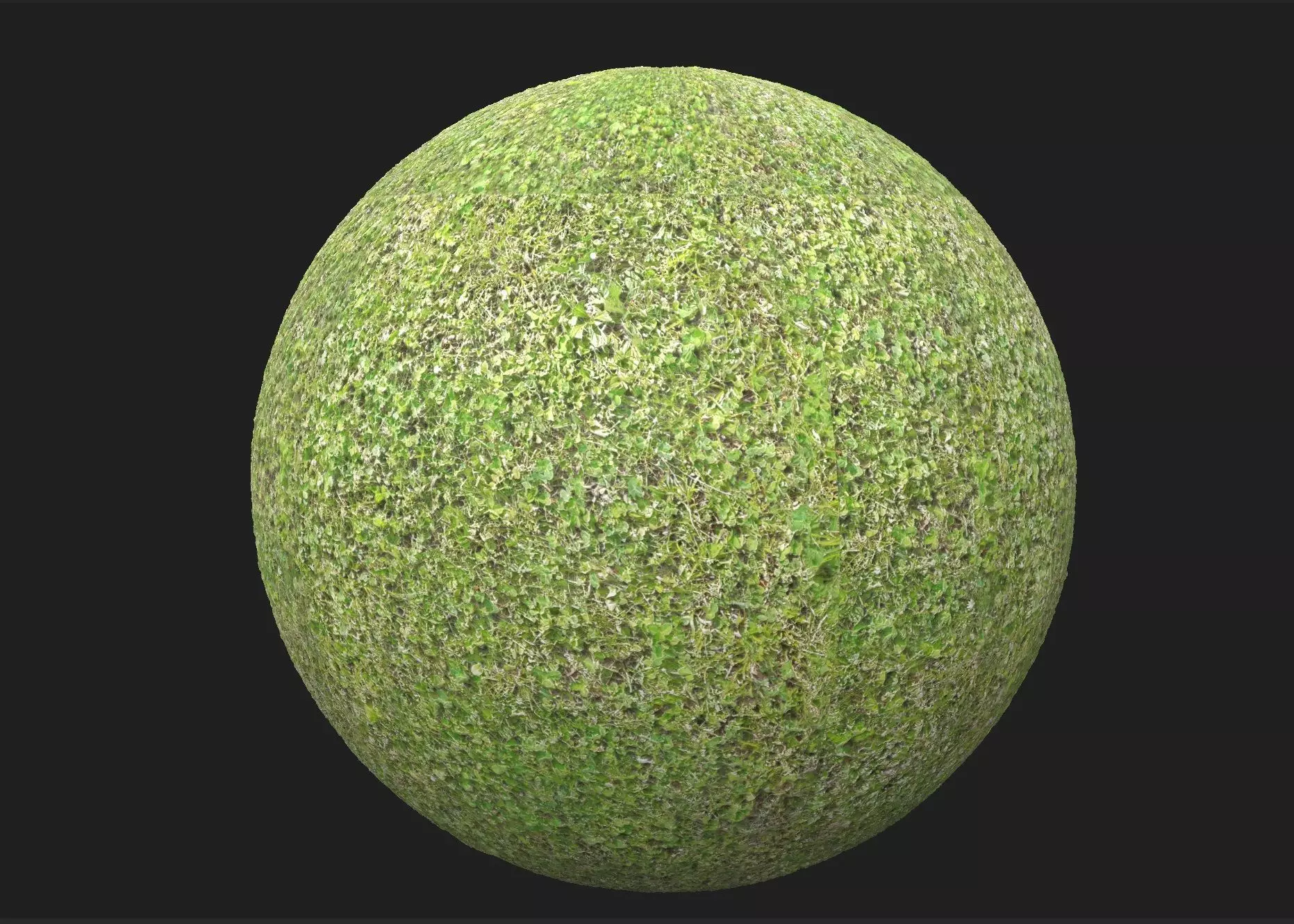 4K PBR Grass Green Texture_0