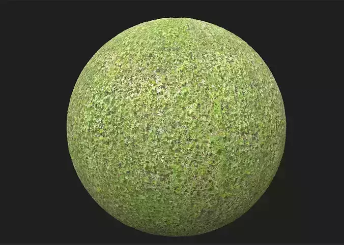 4K PBR Grass Green Texture