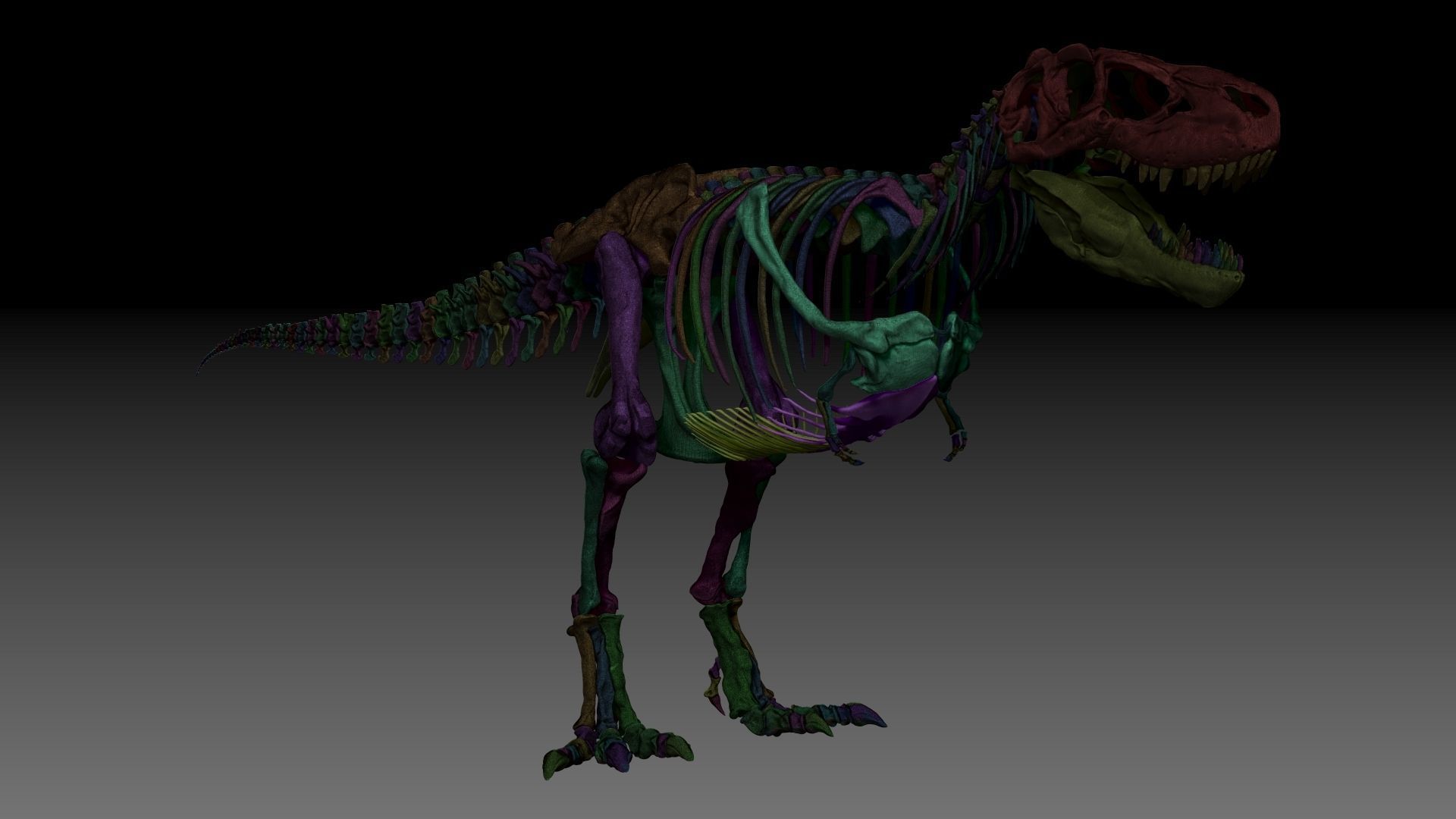 Dinosaur Tarbosaurus Bataar Full Set  3D model_15