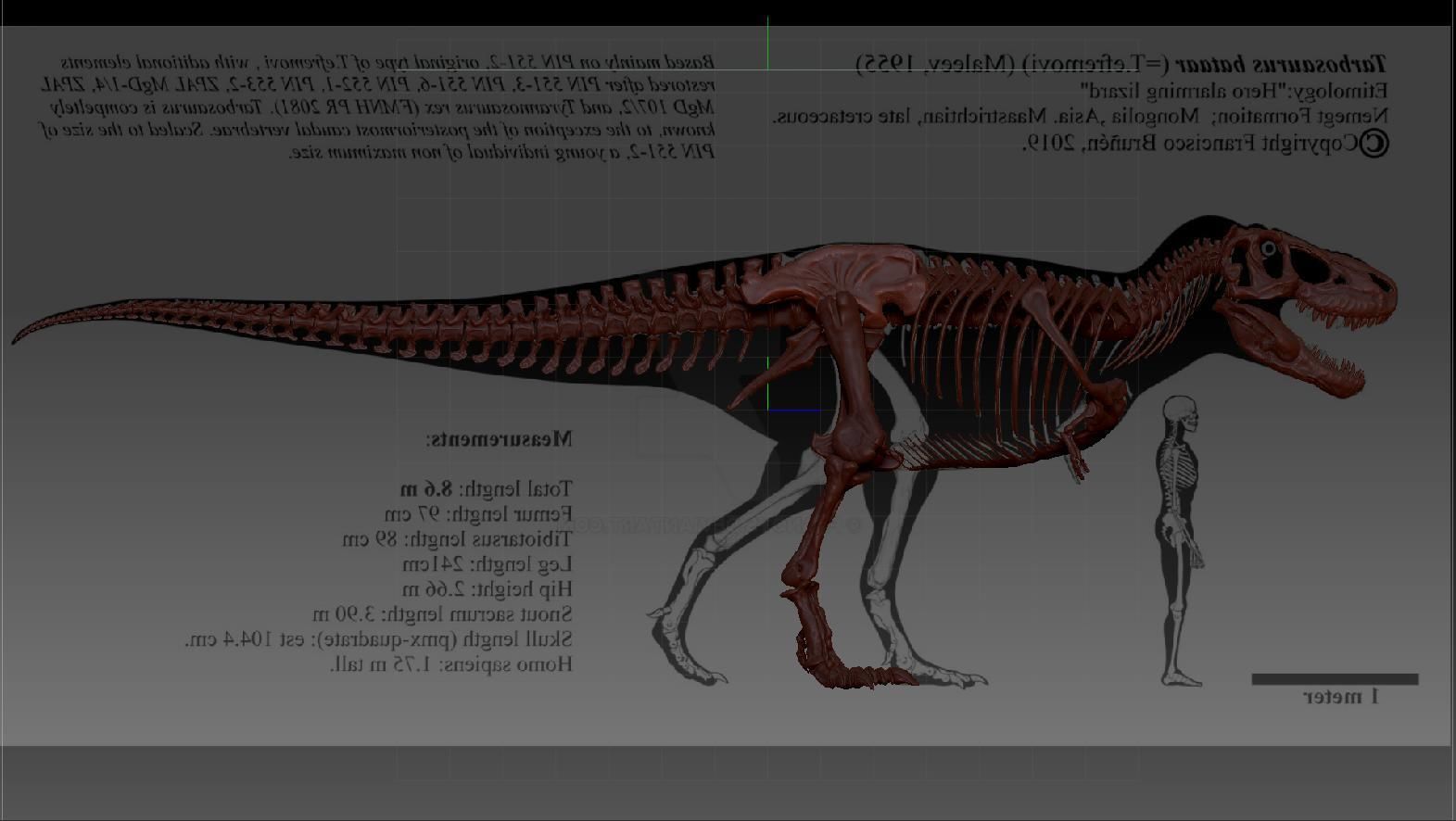 Dinosaur Tarbosaurus Bataar Full Set  3D model_2