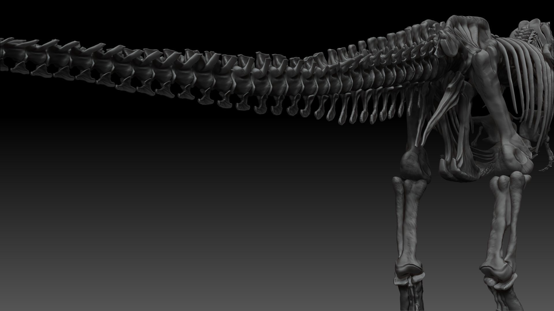 Dinosaur Tarbosaurus Bataar Full Set  3D model_19