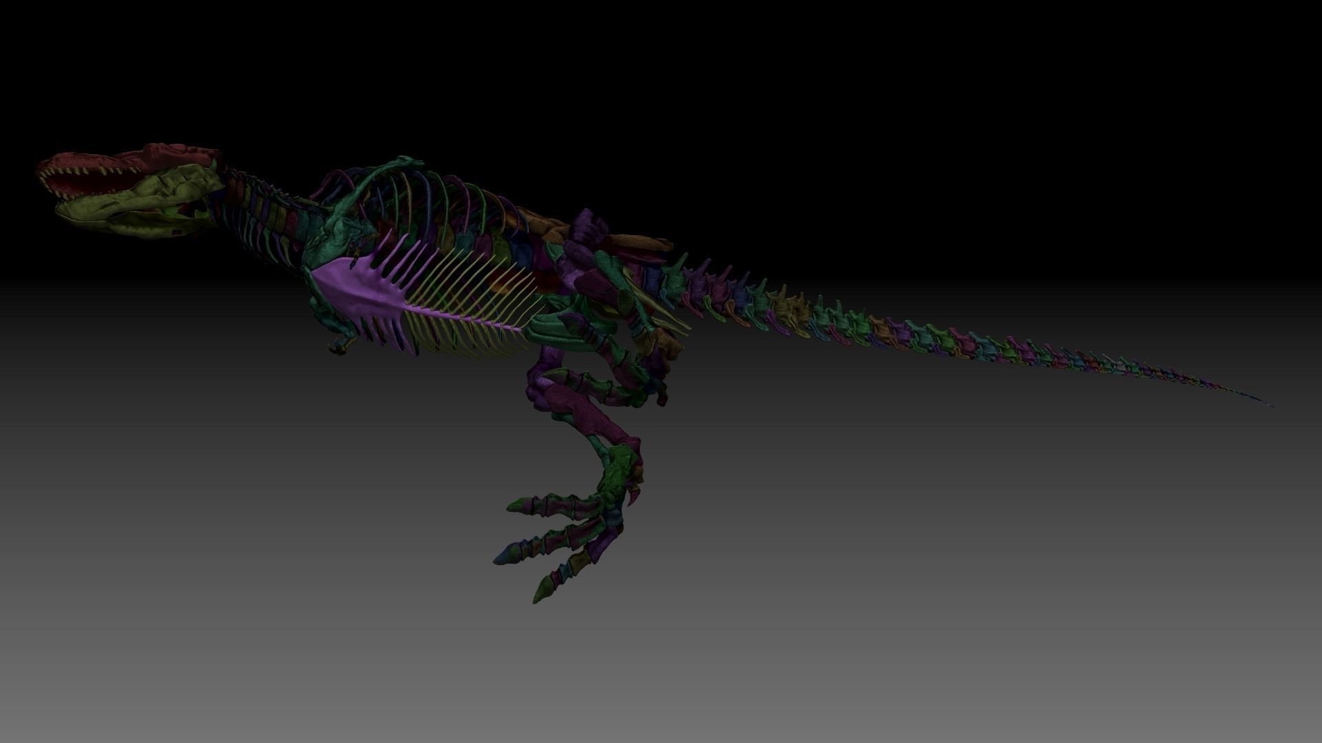 Dinosaur Tarbosaurus Bataar Full Set  3D model_14