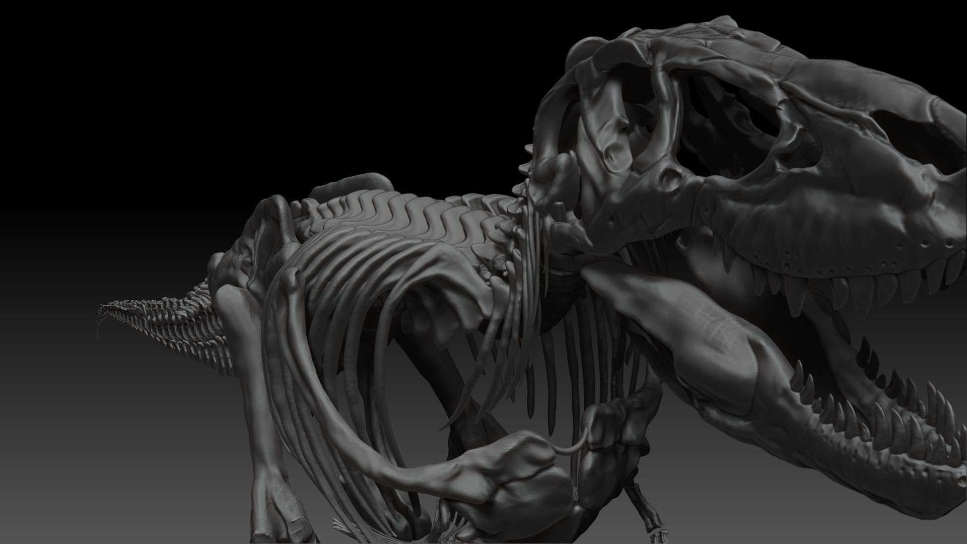 Dinosaur Tarbosaurus Bataar Full Set  3D model_17