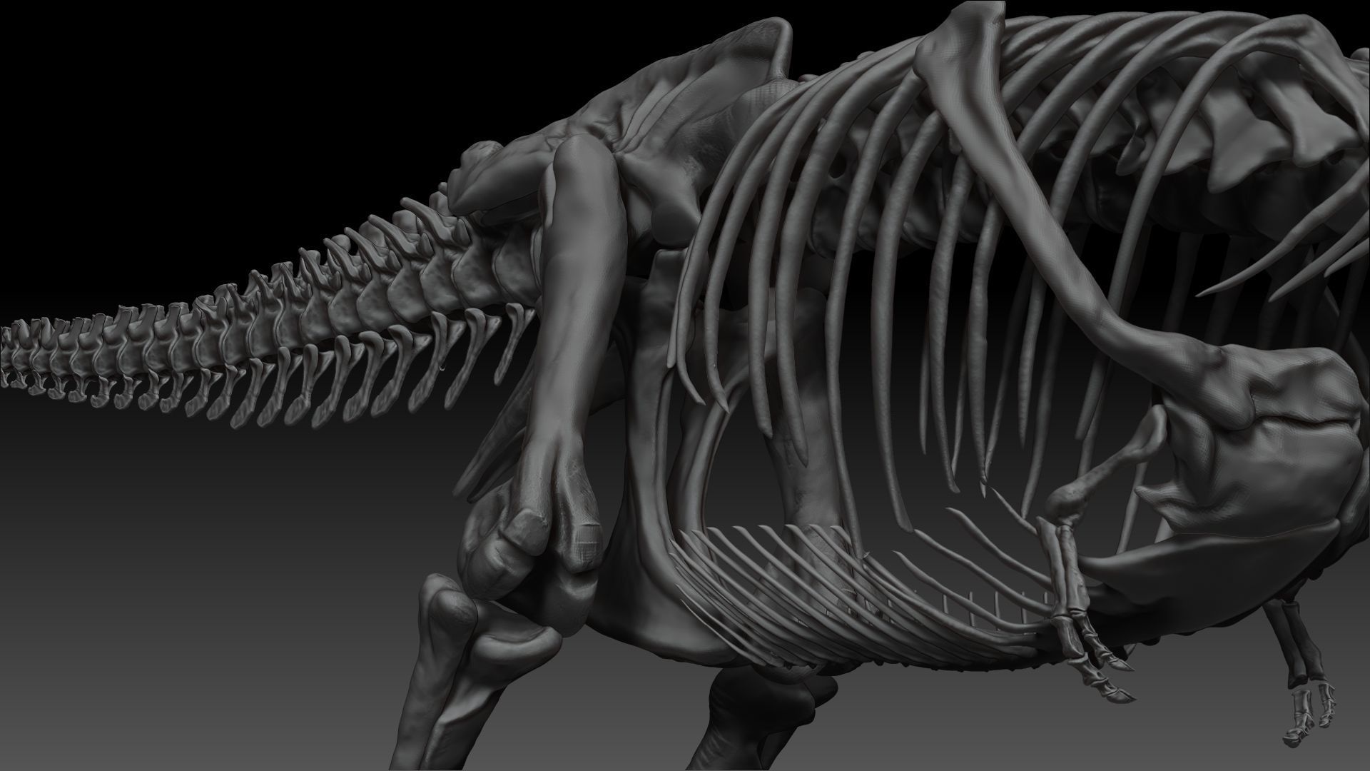 Dinosaur Tarbosaurus Bataar Full Set  3D model_18