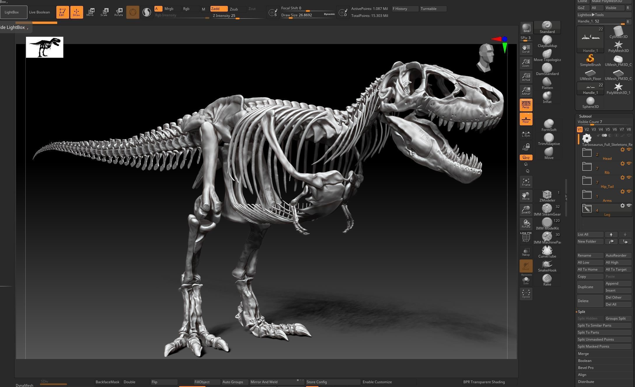Dinosaur Tarbosaurus Bataar Full Set  3D model_7