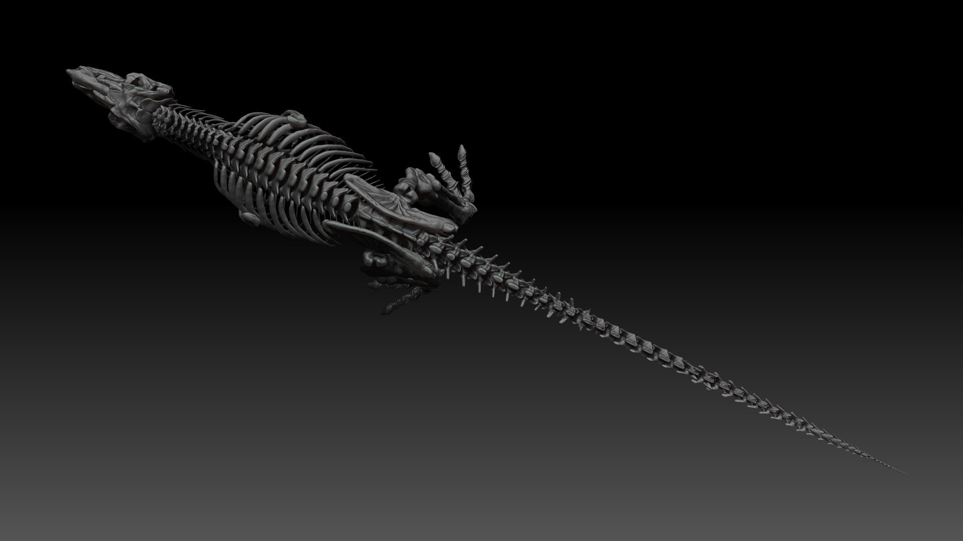 Dinosaur Tarbosaurus Bataar Full Set  3D model_12