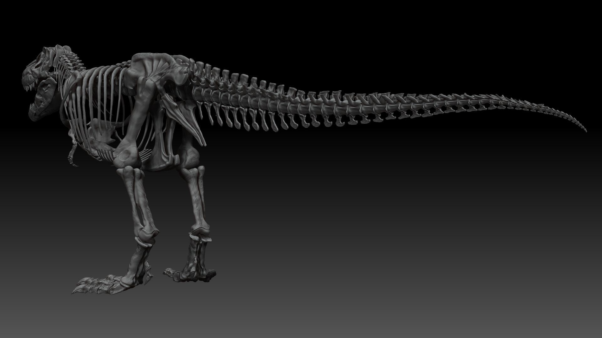 Dinosaur Tarbosaurus Bataar Full Set  3D model_11