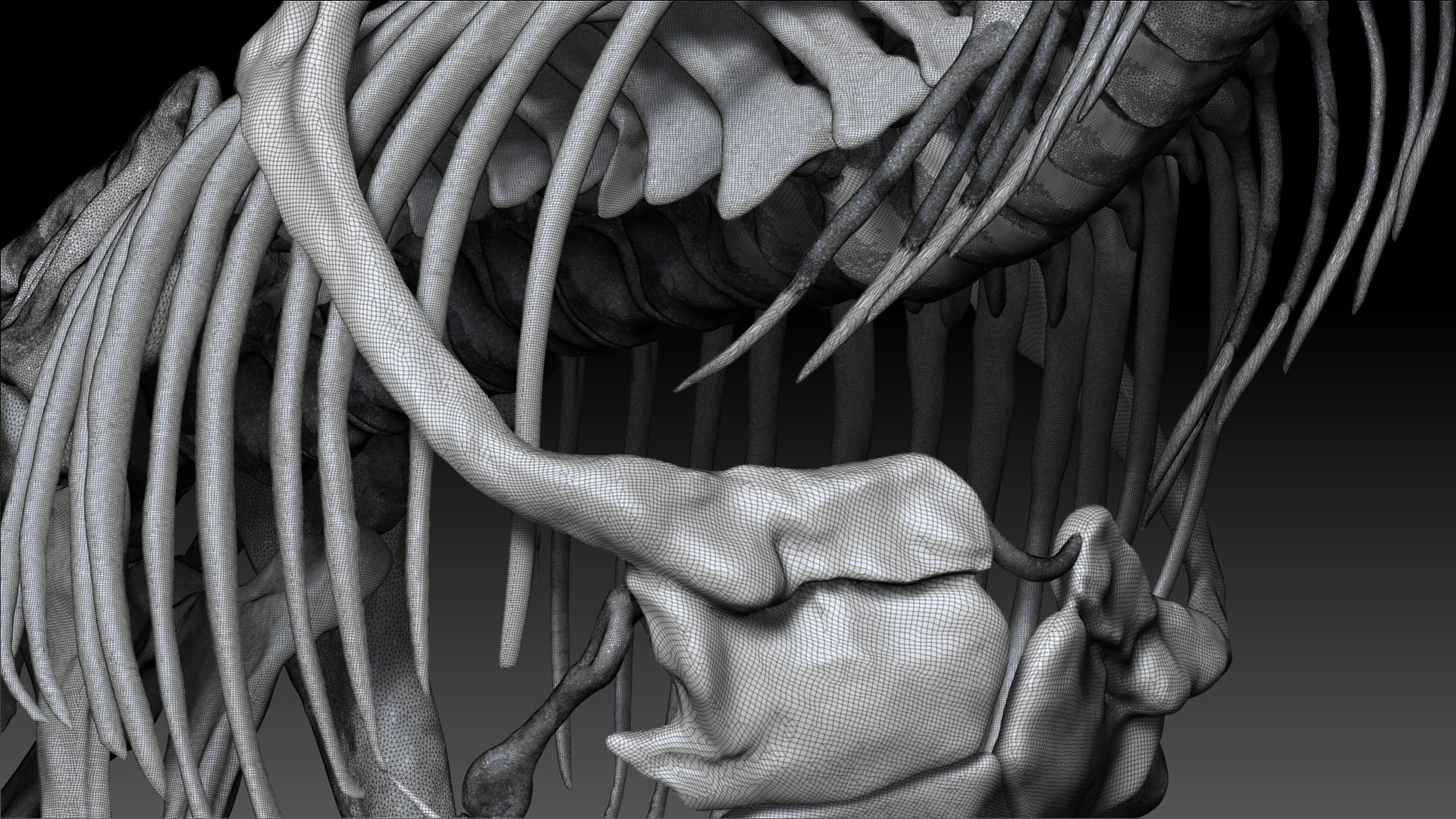 Dinosaur Tarbosaurus Bataar Full Set  3D model_22