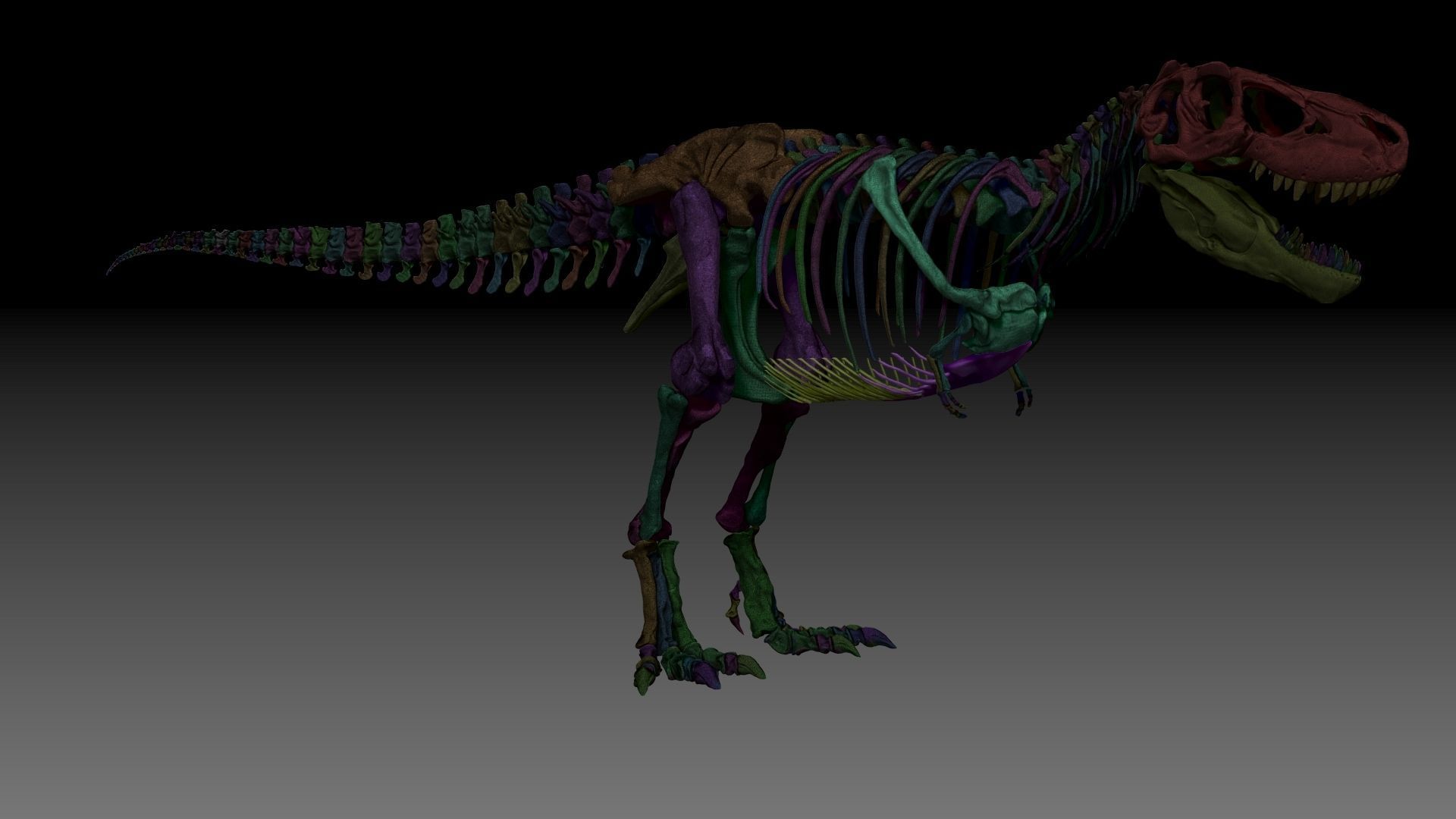 Dinosaur Tarbosaurus Bataar Full Set  3D model_3