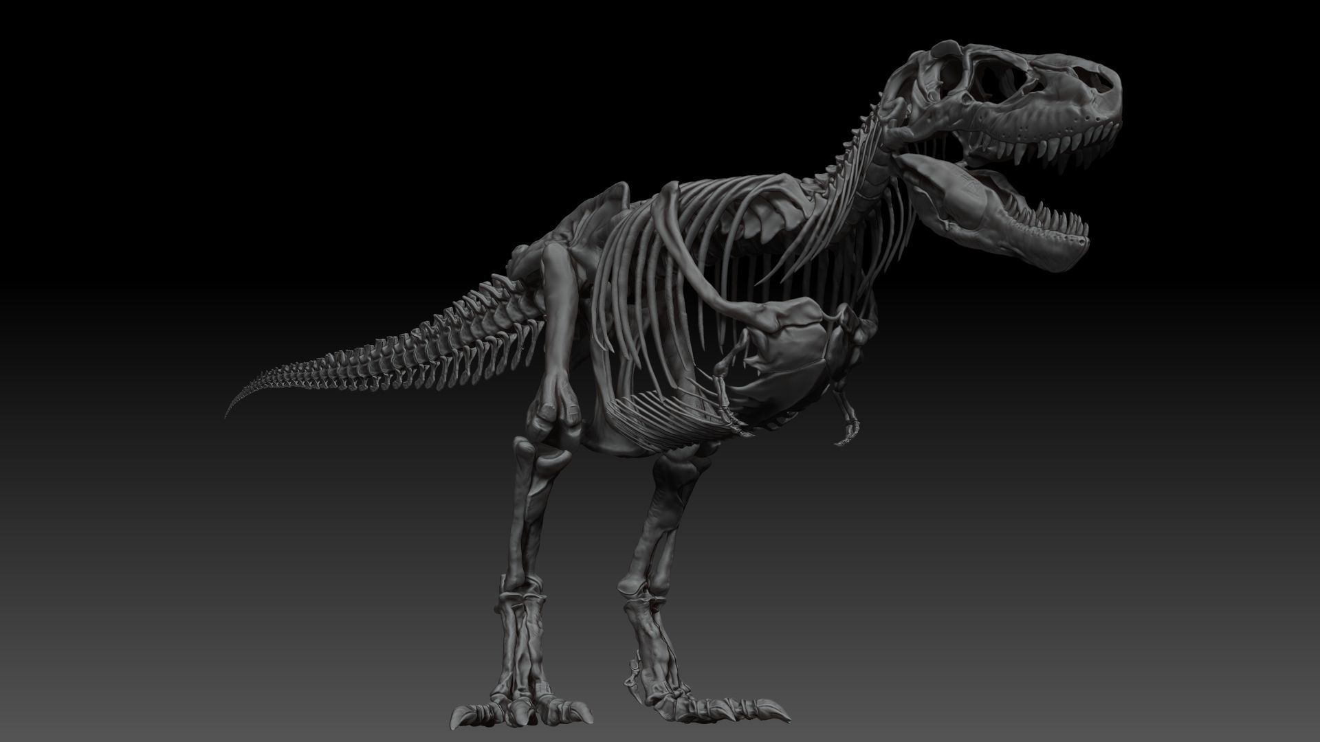 Dinosaur Tarbosaurus Bataar Full Set  3D model_9