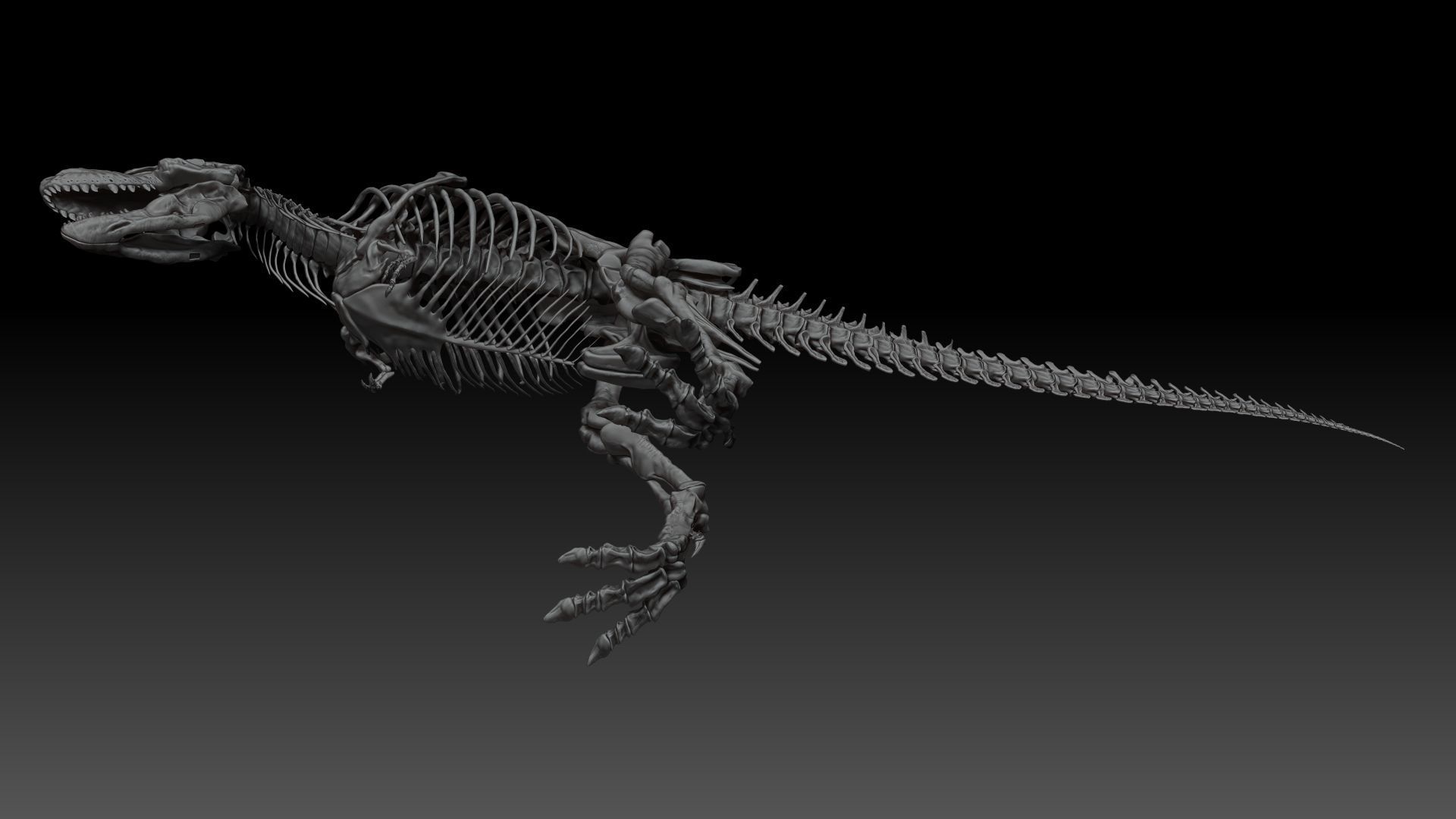 Dinosaur Tarbosaurus Bataar Full Set  3D model_13