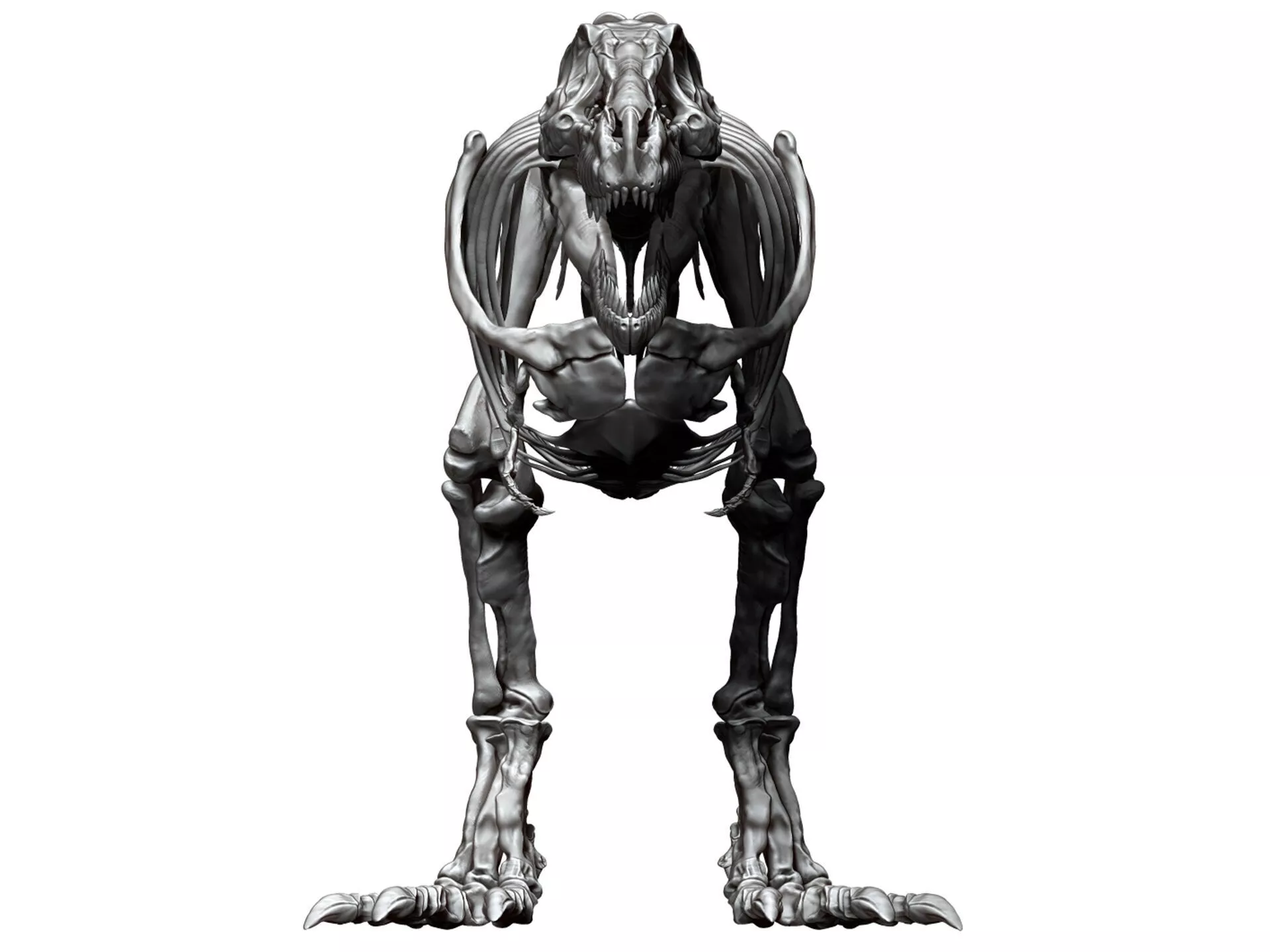 Dinosaur Tarbosaurus Bataar Full Set 3D model