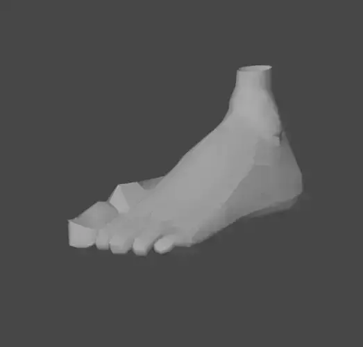 LEFT FOOT Low-poly 3D model