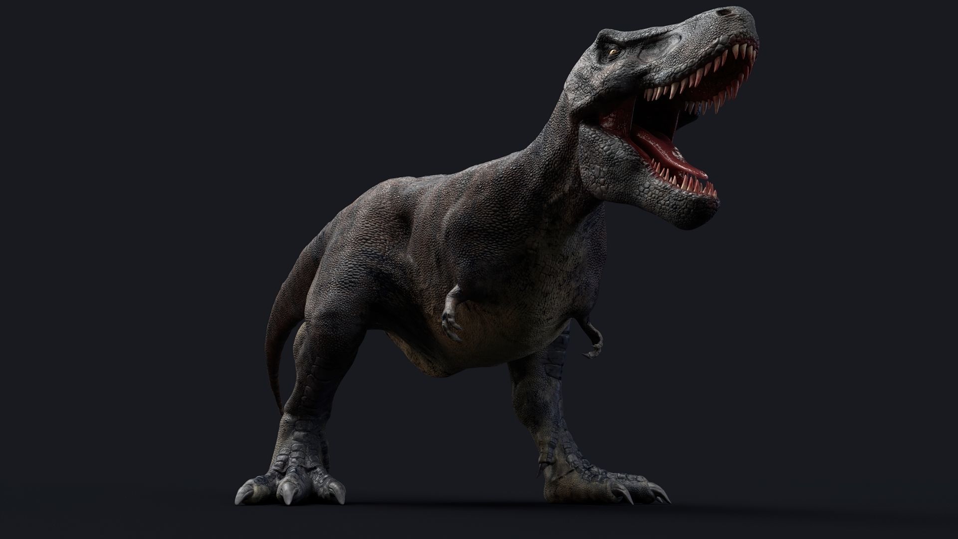 Dinosaur Tarbosaurus Bataar  Real Dinosaur 76 Animations   Low-poly 3D model_20