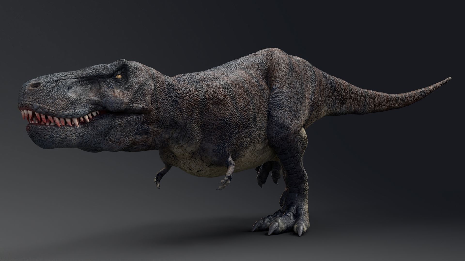Dinosaur Tarbosaurus Bataar  Real Dinosaur 76 Animations   Low-poly 3D model_12