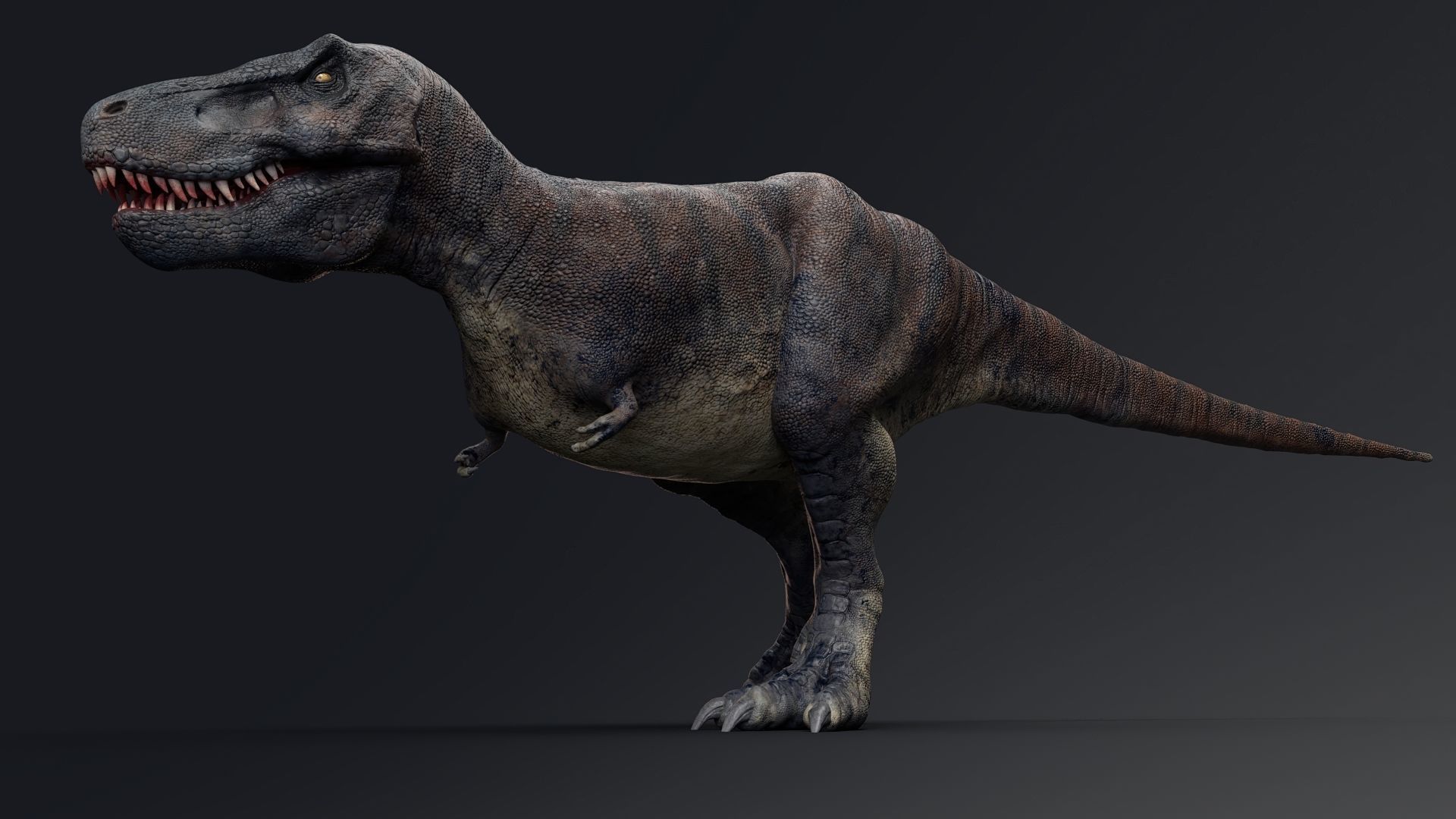 Dinosaur Tarbosaurus Bataar  Real Dinosaur 76 Animations   Low-poly 3D model_6