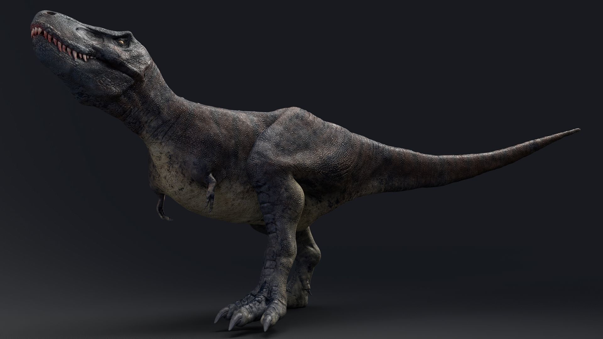 Dinosaur Tarbosaurus Bataar  Real Dinosaur 76 Animations   Low-poly 3D model_19